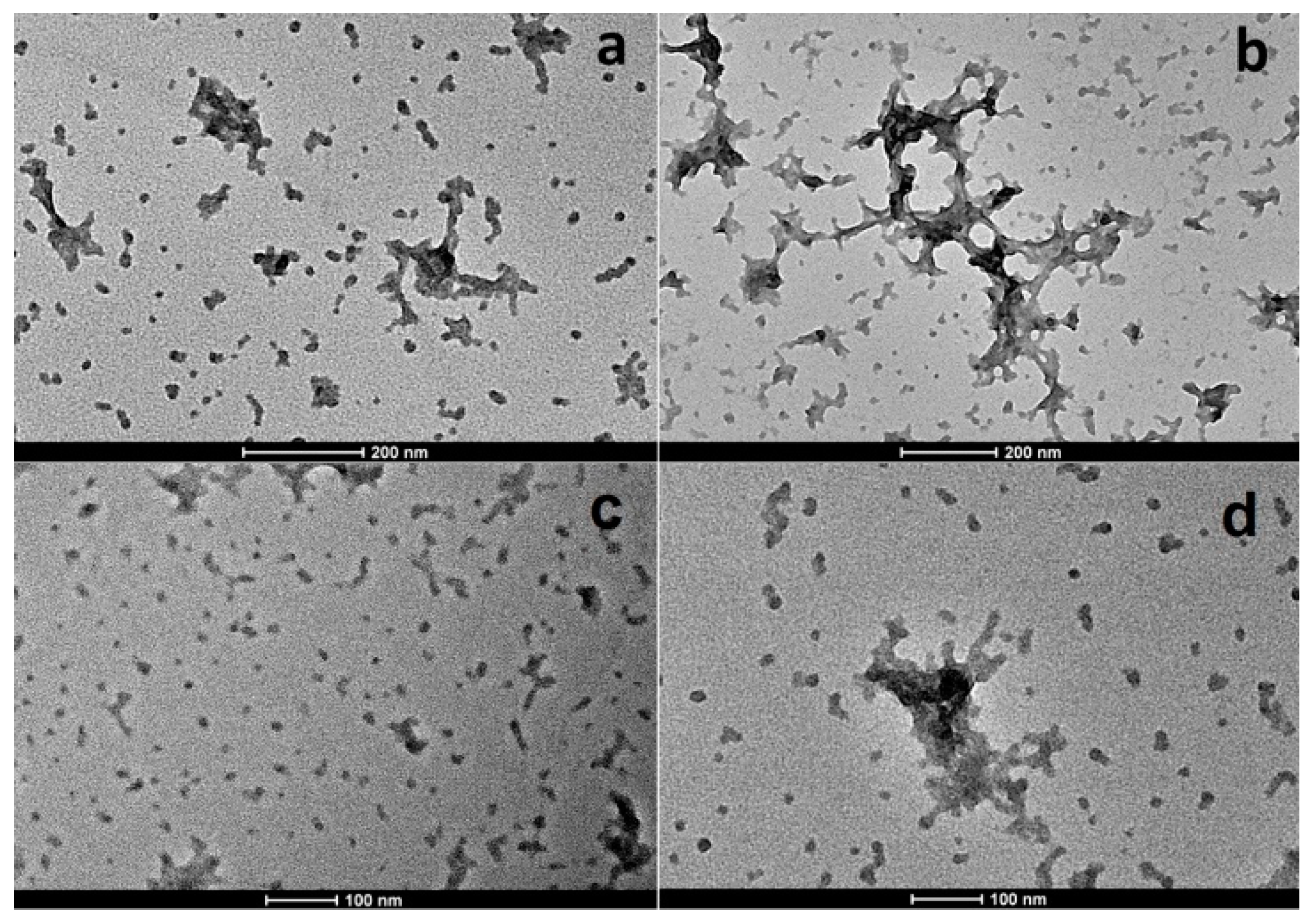 Pharmaceutics 11 00008 g007 Pharmaceutics 11 00008 g007