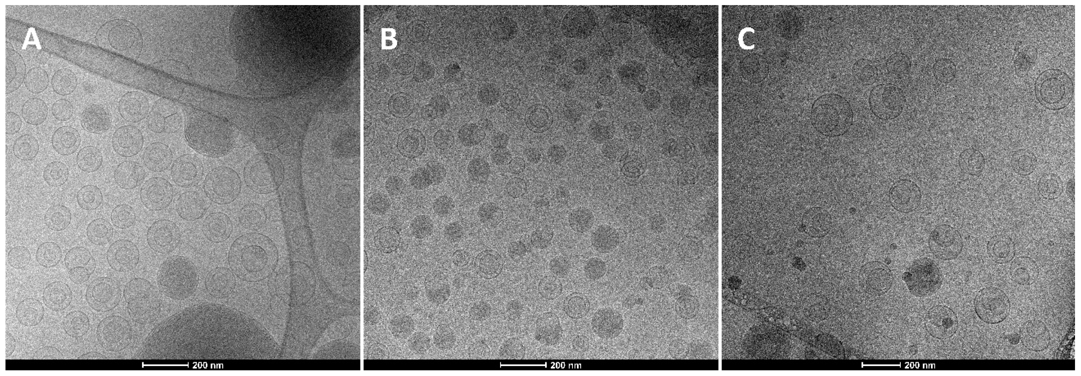 Pharmaceutics 11 00013 g001