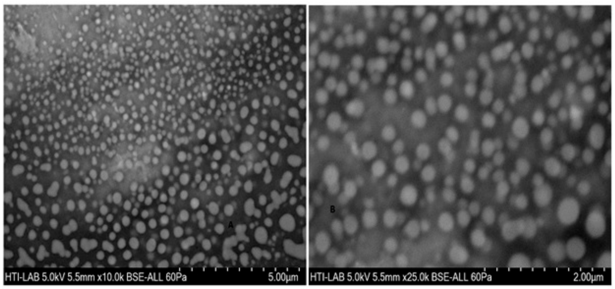 Pharmaceutics 11 00026 g006