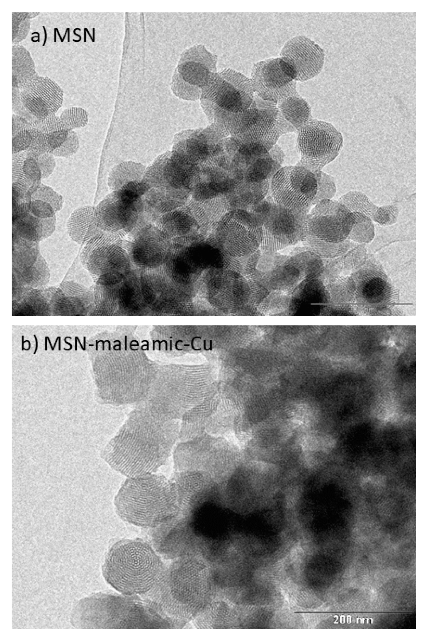 Pharmaceutics 11 00030 g006