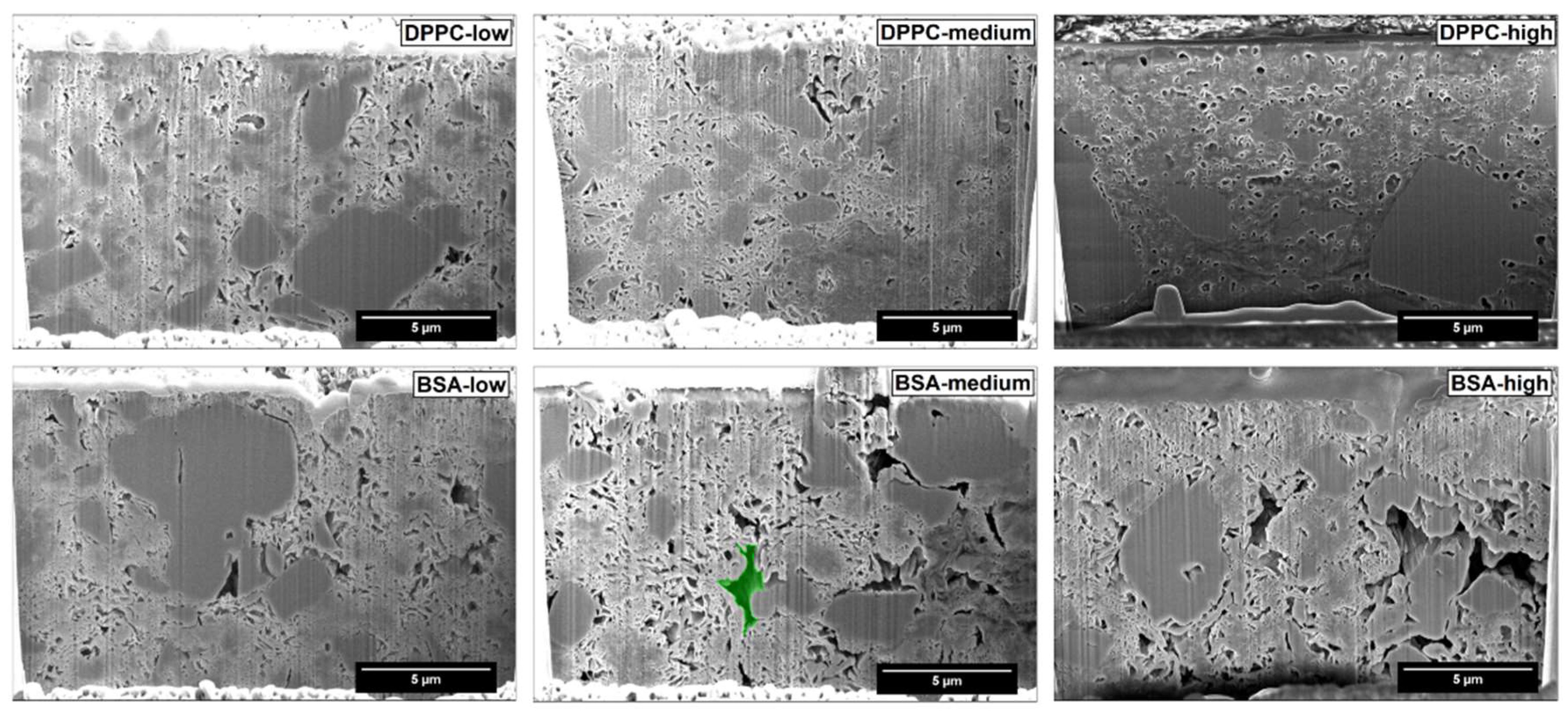 Pharmaceutics 11 00032 g004