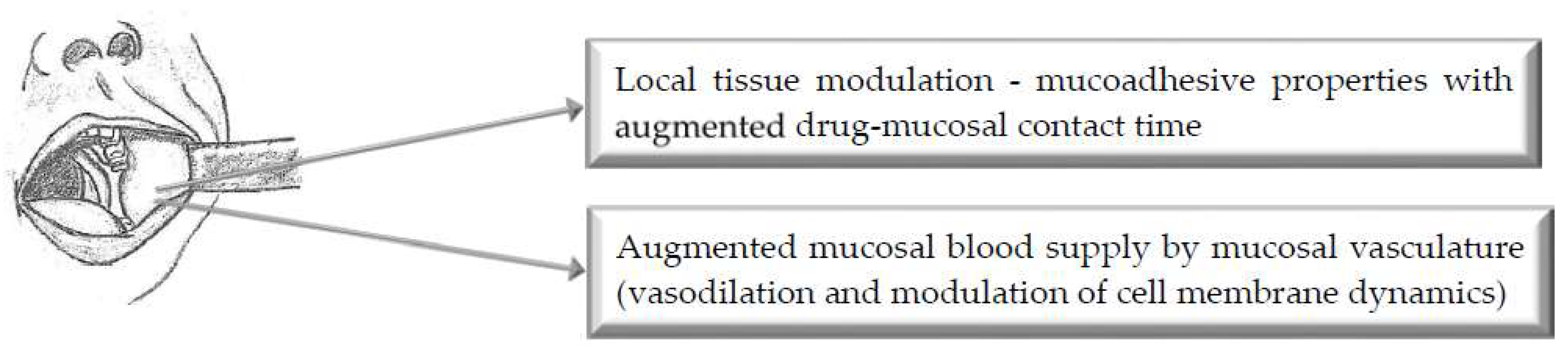 Pharmaceutics 11 00033 g001
