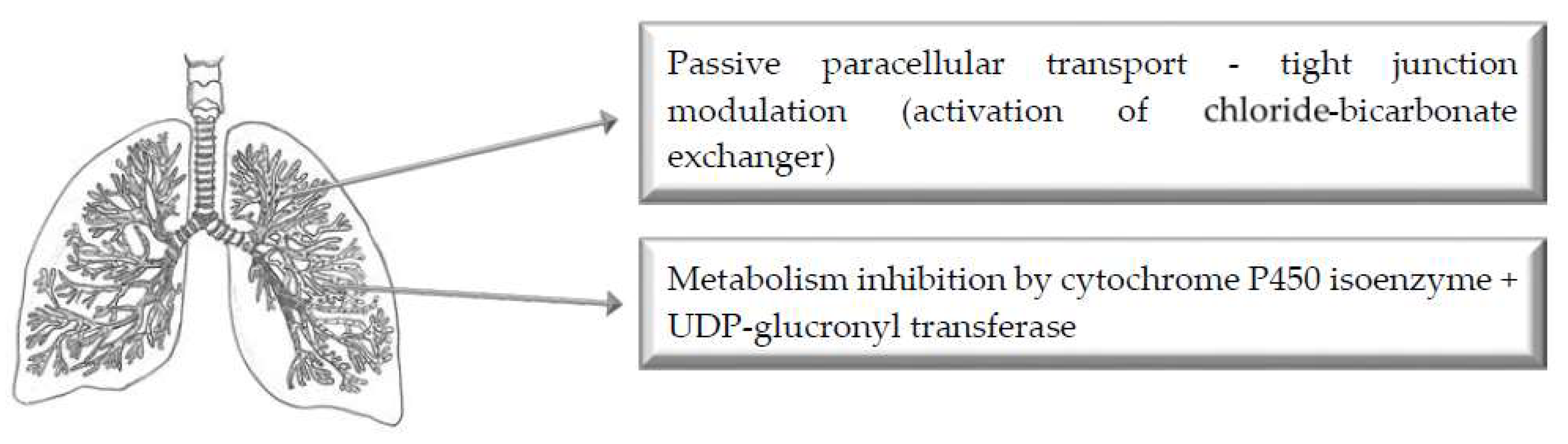 Pharmaceutics 11 00033 g004