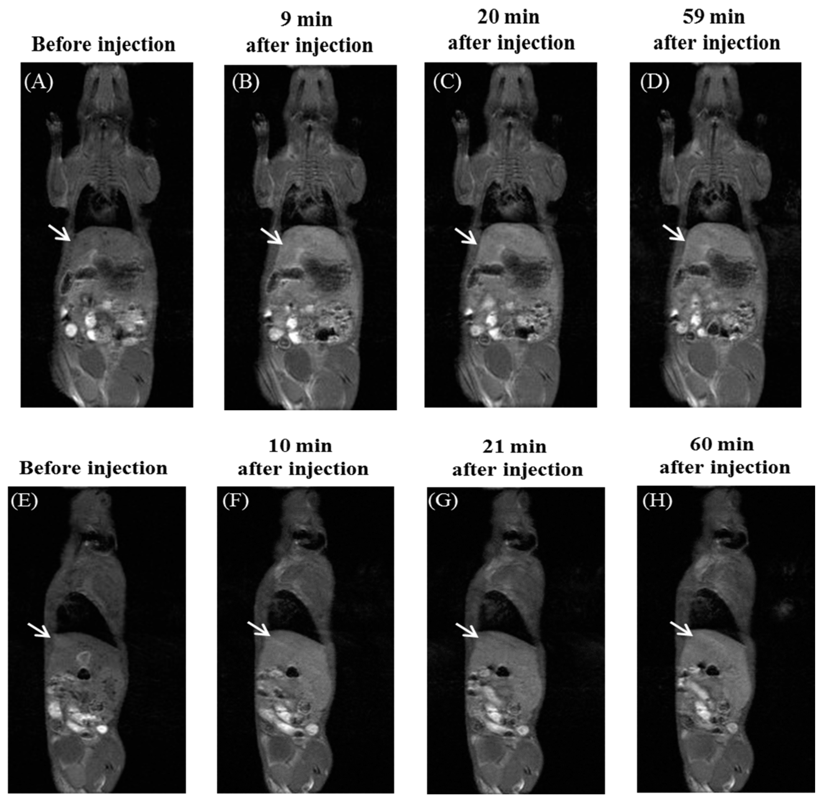 Pharmaceutics 11 00042 g007