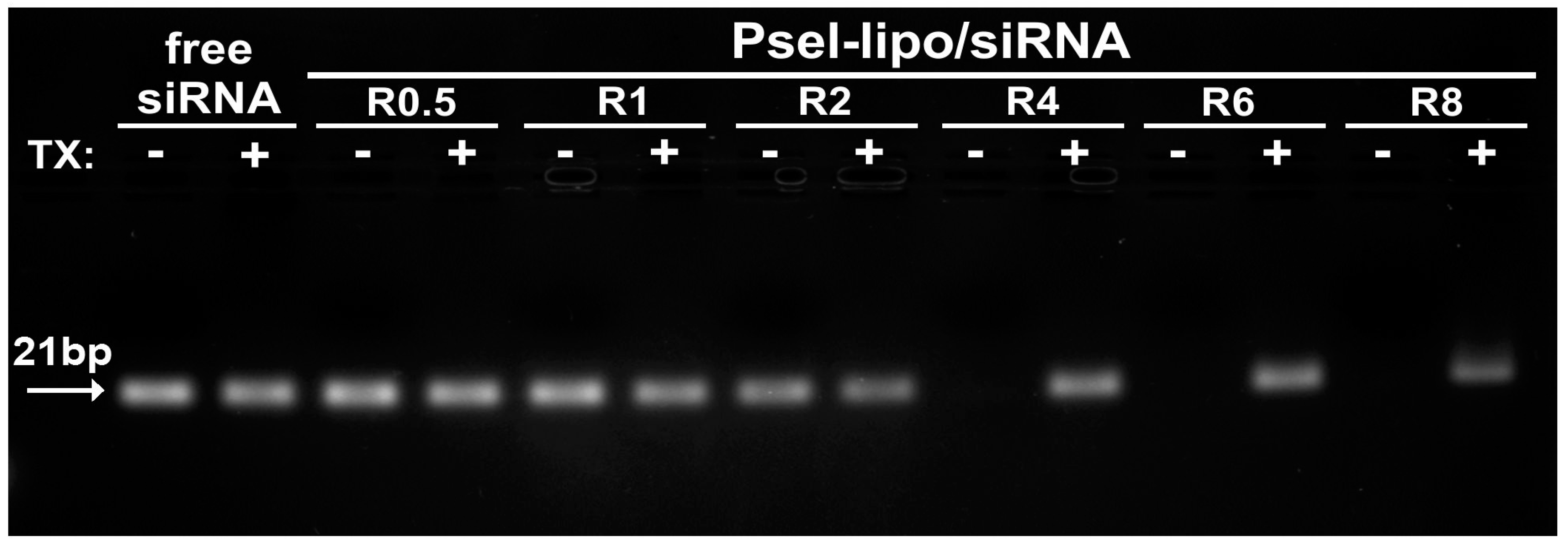Pharmaceutics 11 00047 g002