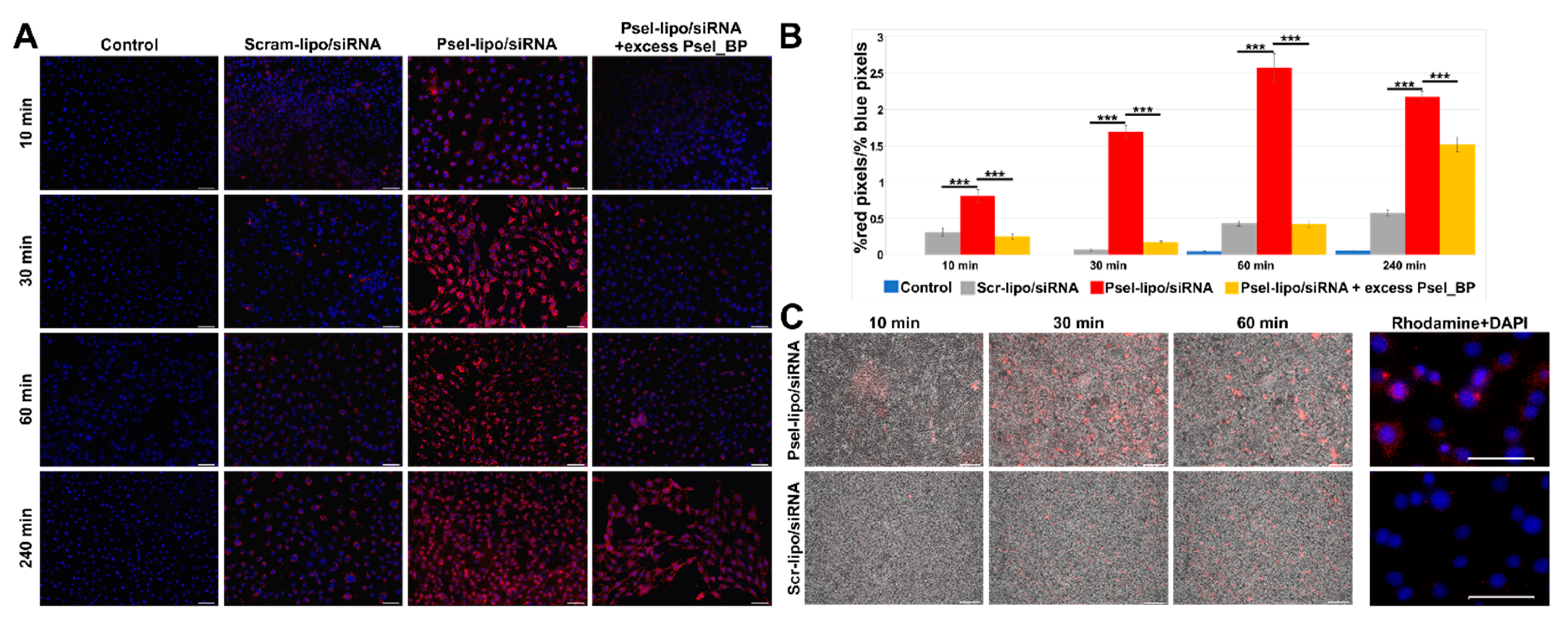 Pharmaceutics 11 00047 g005