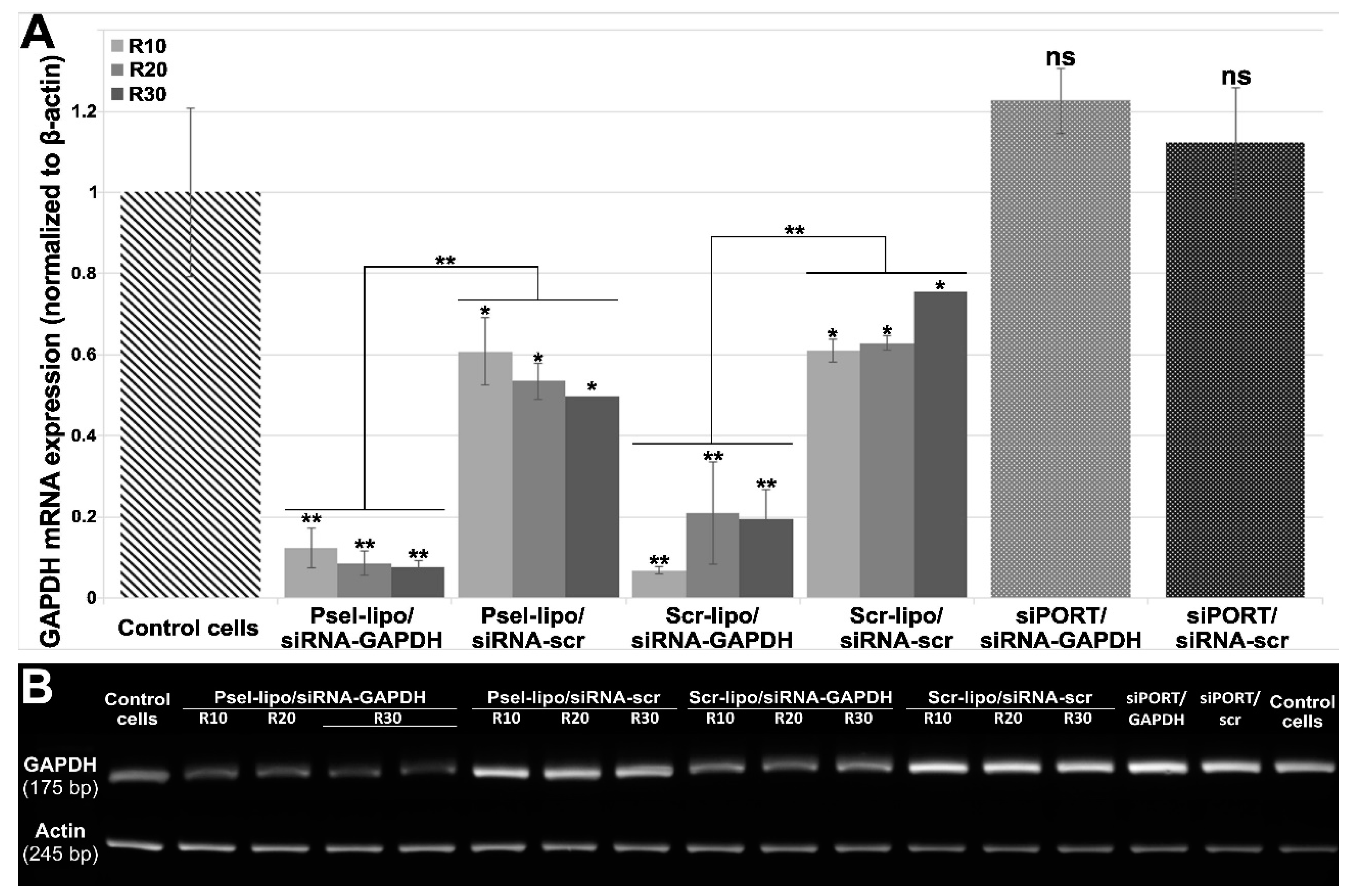 Pharmaceutics 11 00047 g007