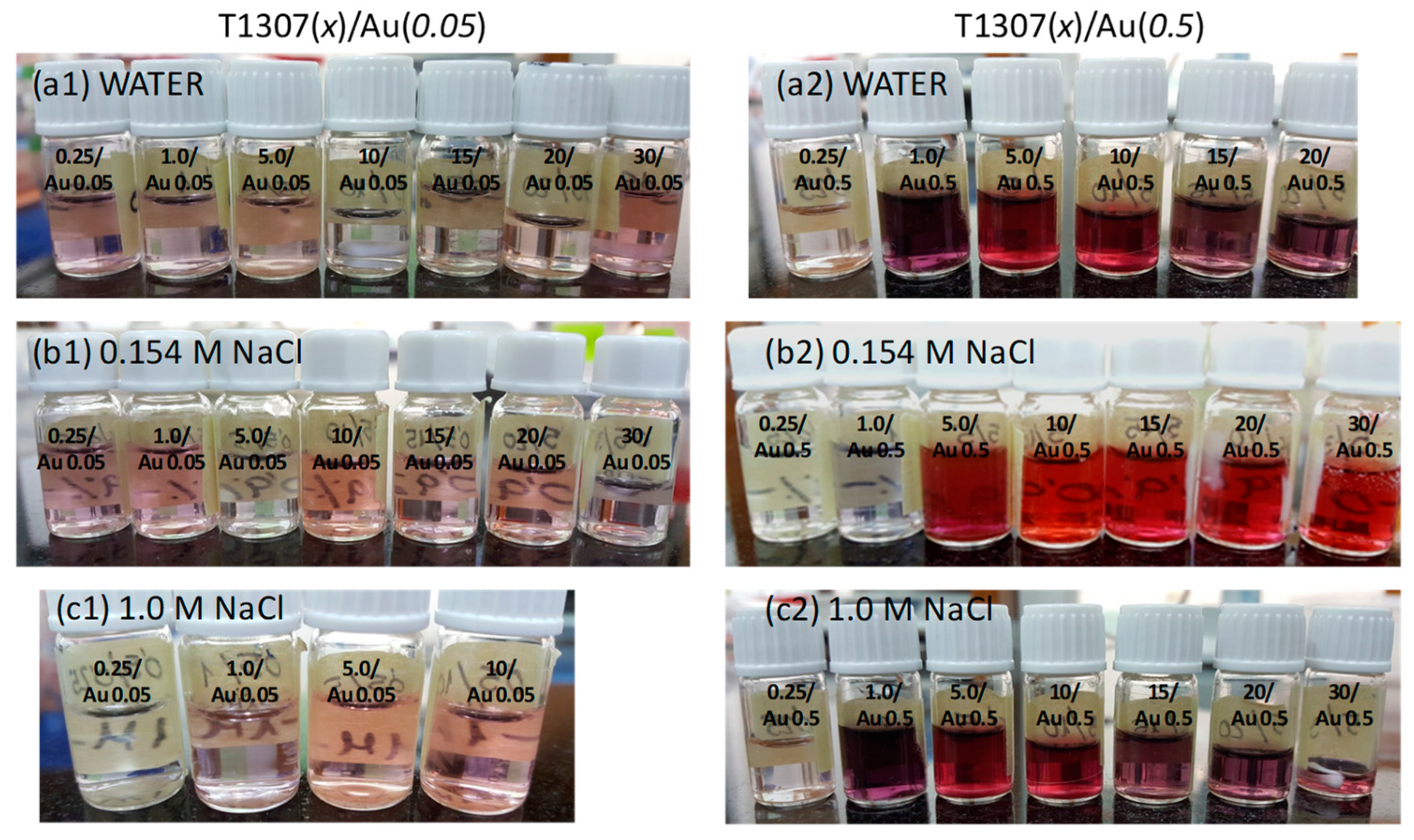 Pharmaceutics 11 00052 g001 Pharmaceutics 11 00052 g001