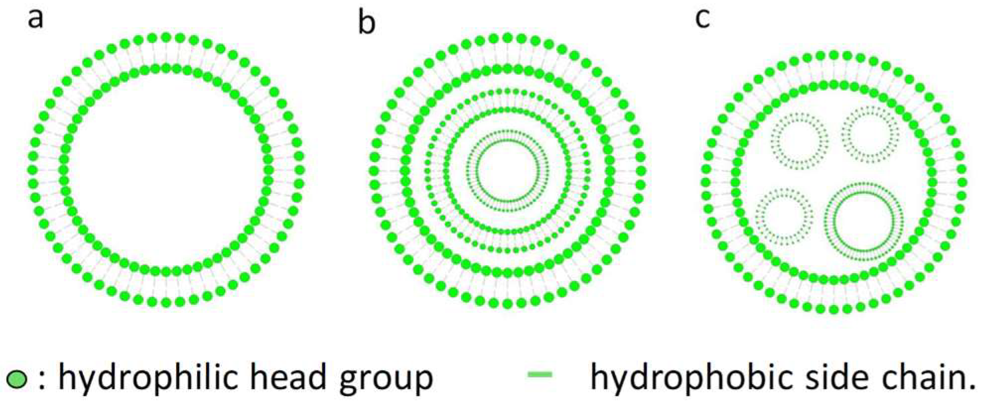 Pharmaceutics 11 00055 g001