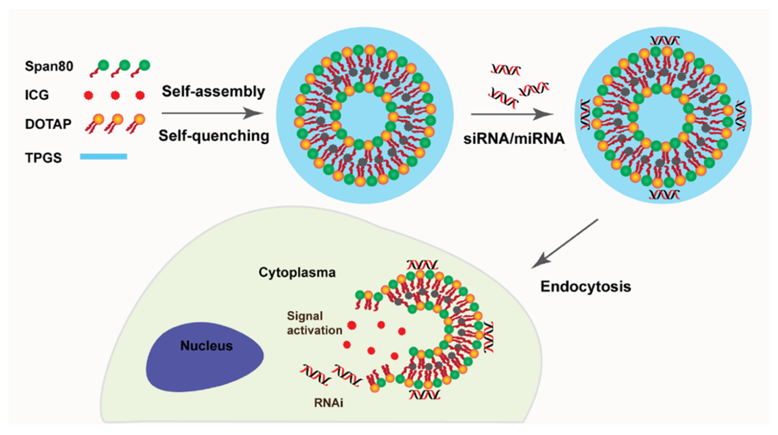 Pharmaceutics 11 00055 g006