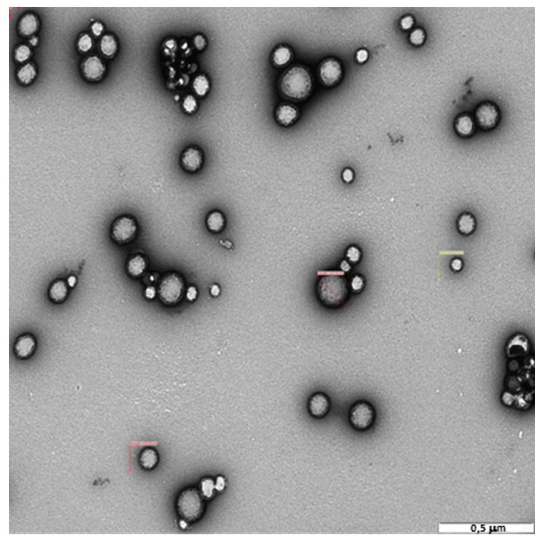 Pharmaceutics 11 00057 g003