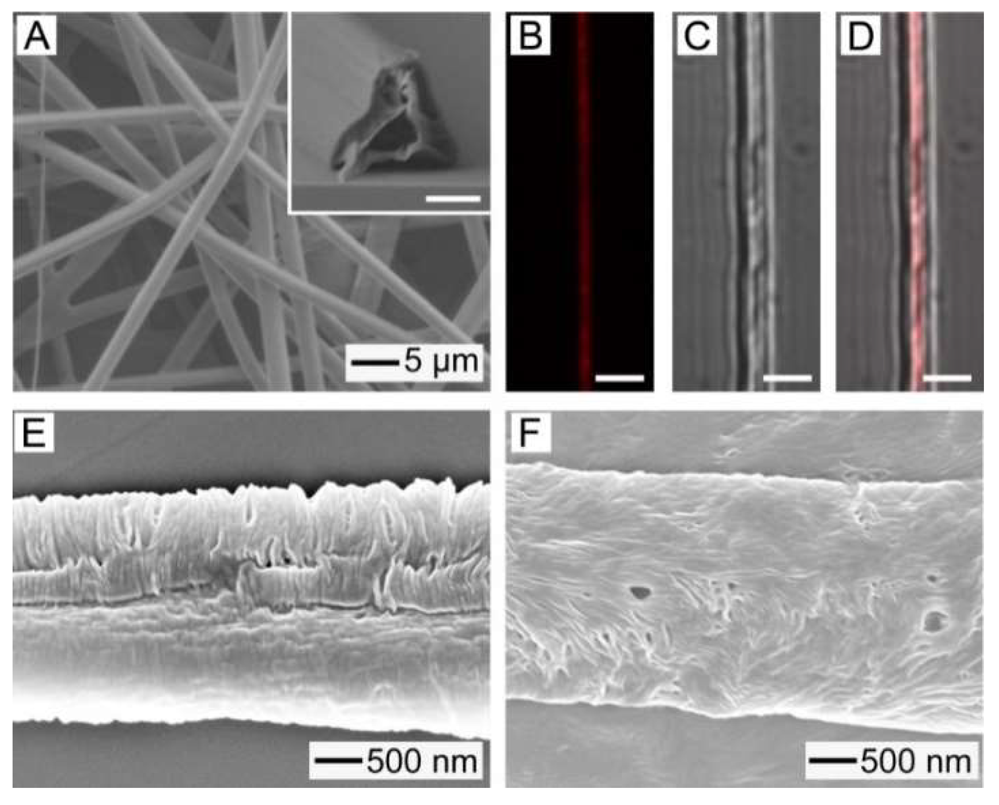 Pharmaceutics 11 00060 g006