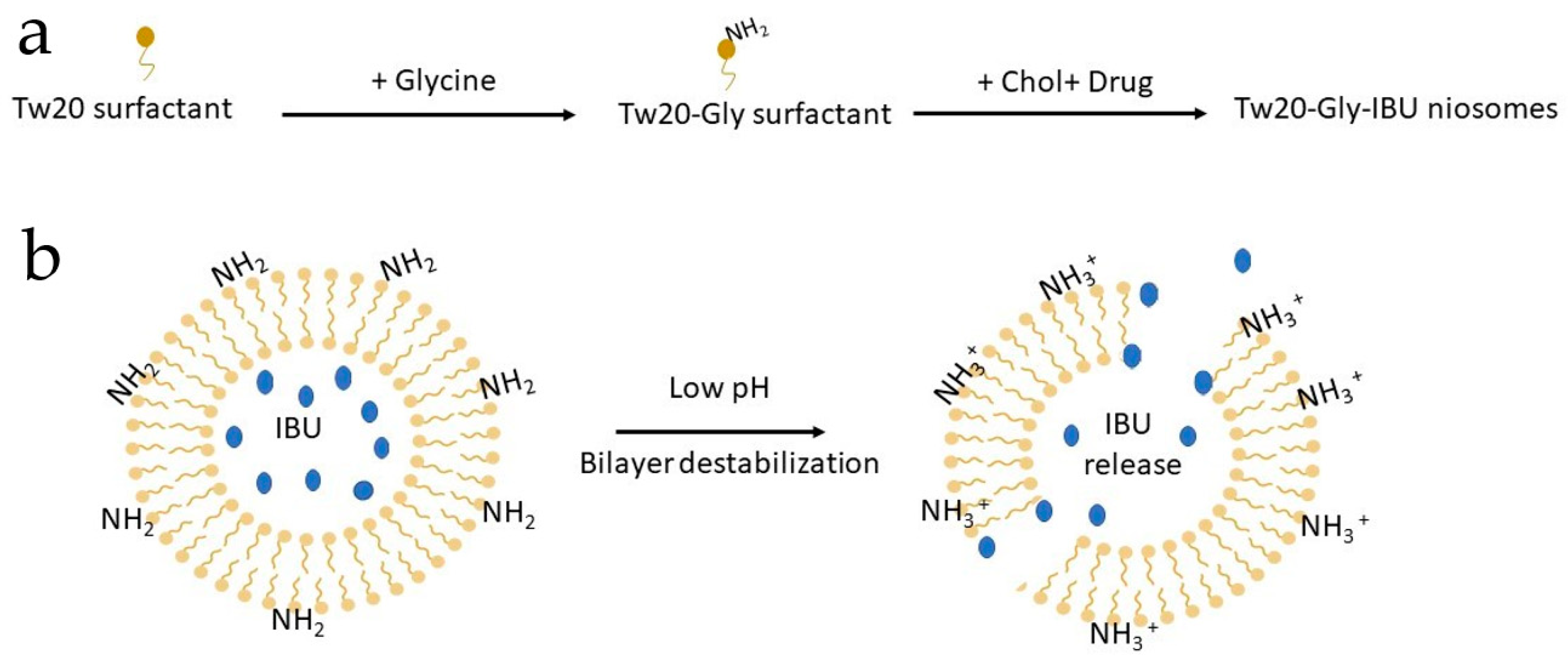 Pharmaceutics 11 00062 g001