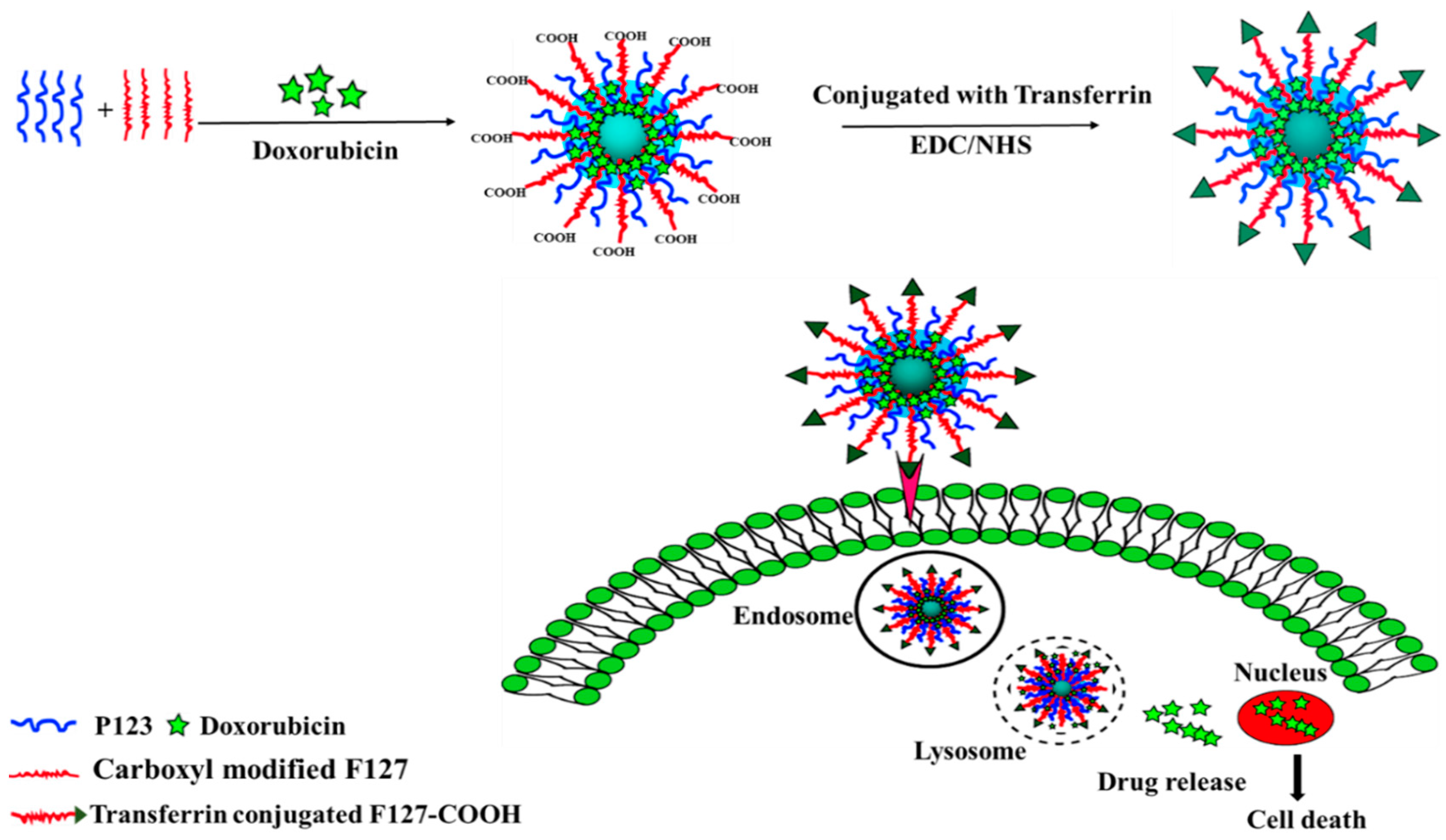 Pharmaceutics 11 00063 g001
