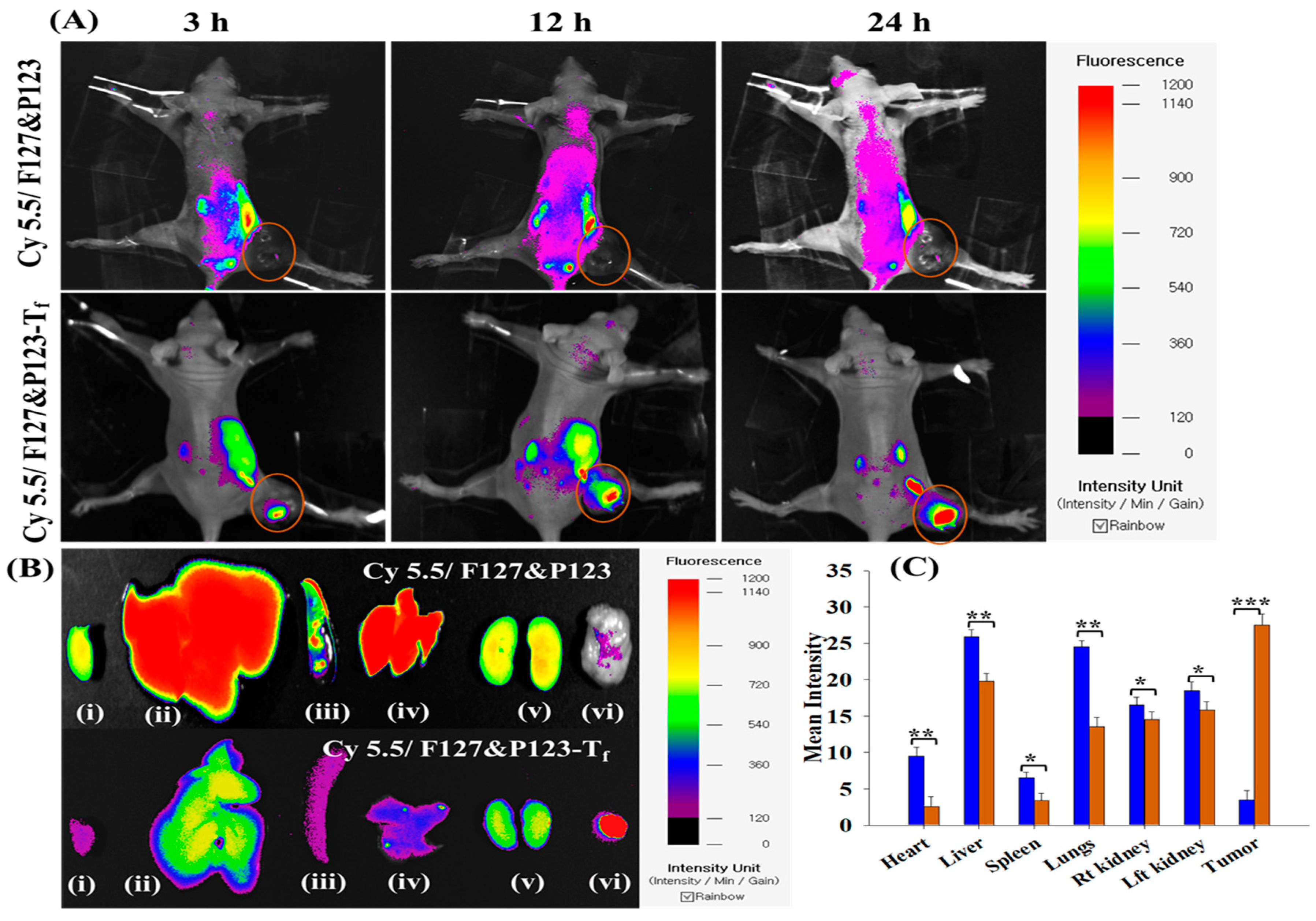 Pharmaceutics 11 00063 g006