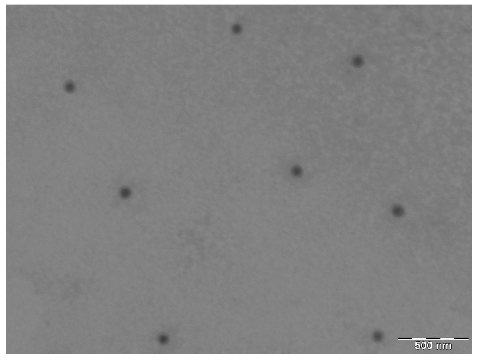 Pharmaceutics 11 00064 g003