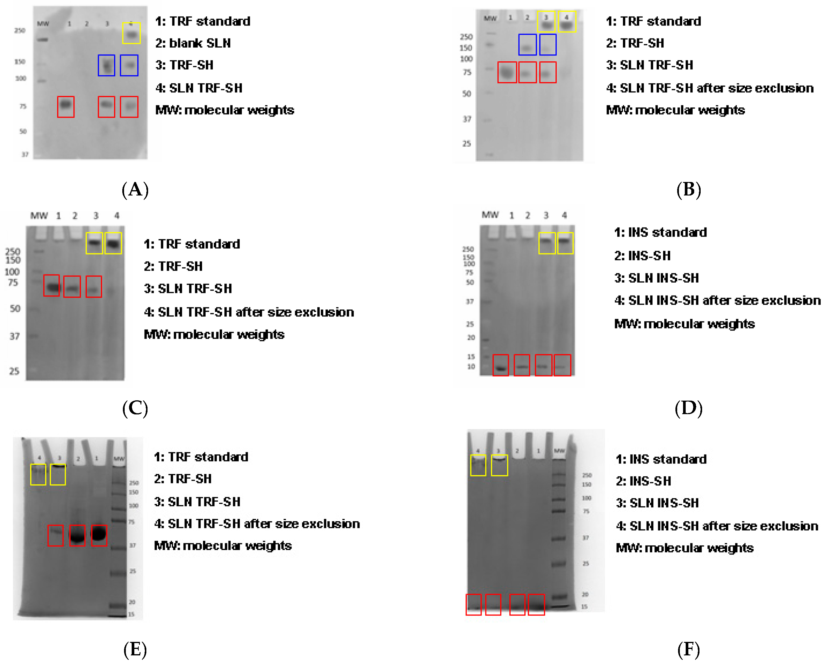 Pharmaceutics 11 00065 g002 Pharmaceutics 11 00065 g002