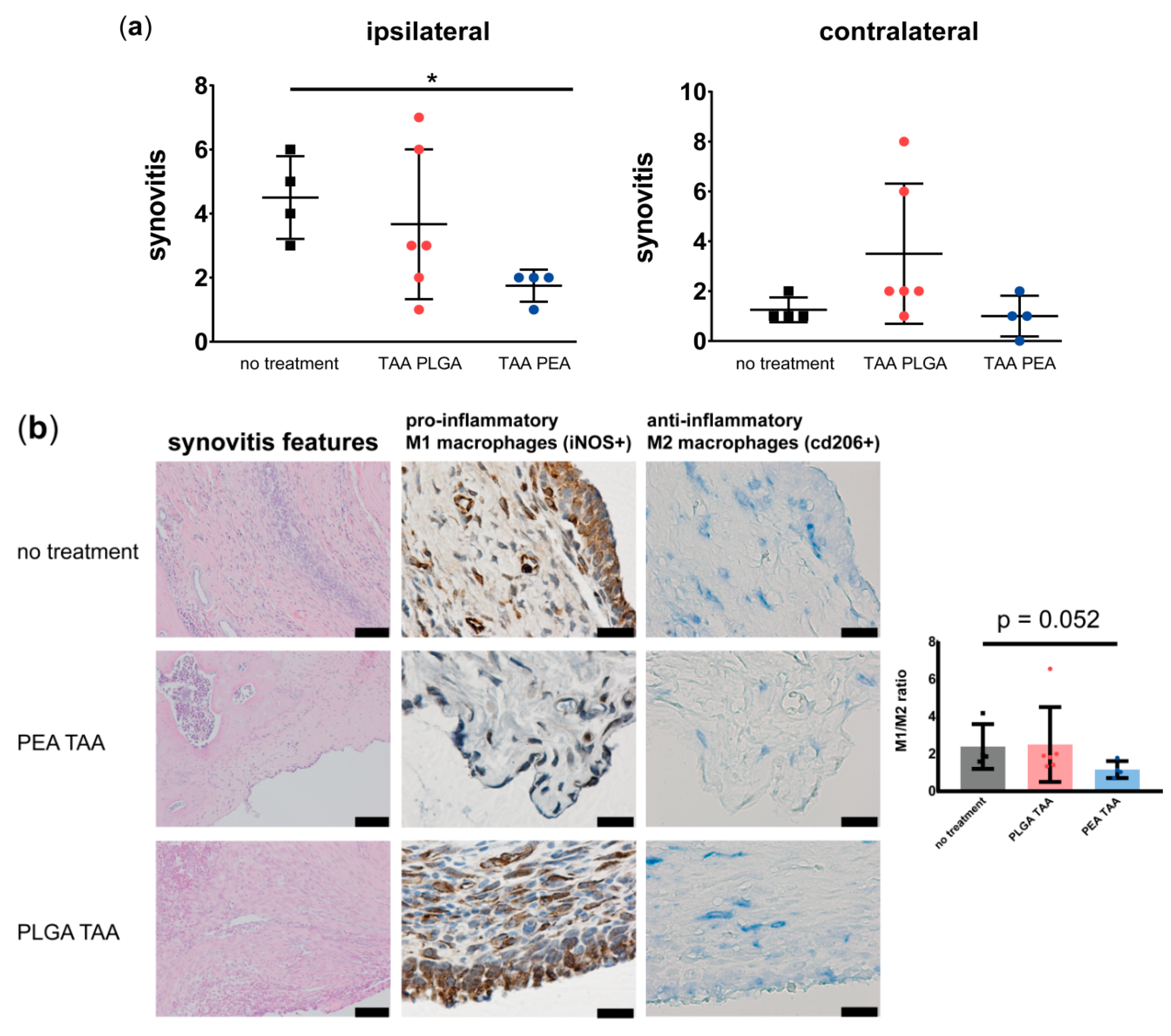 Pharmaceutics 11 00070 g007