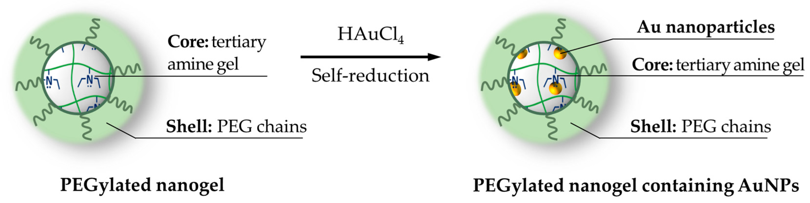 Pharmaceutics 11 00071 g002