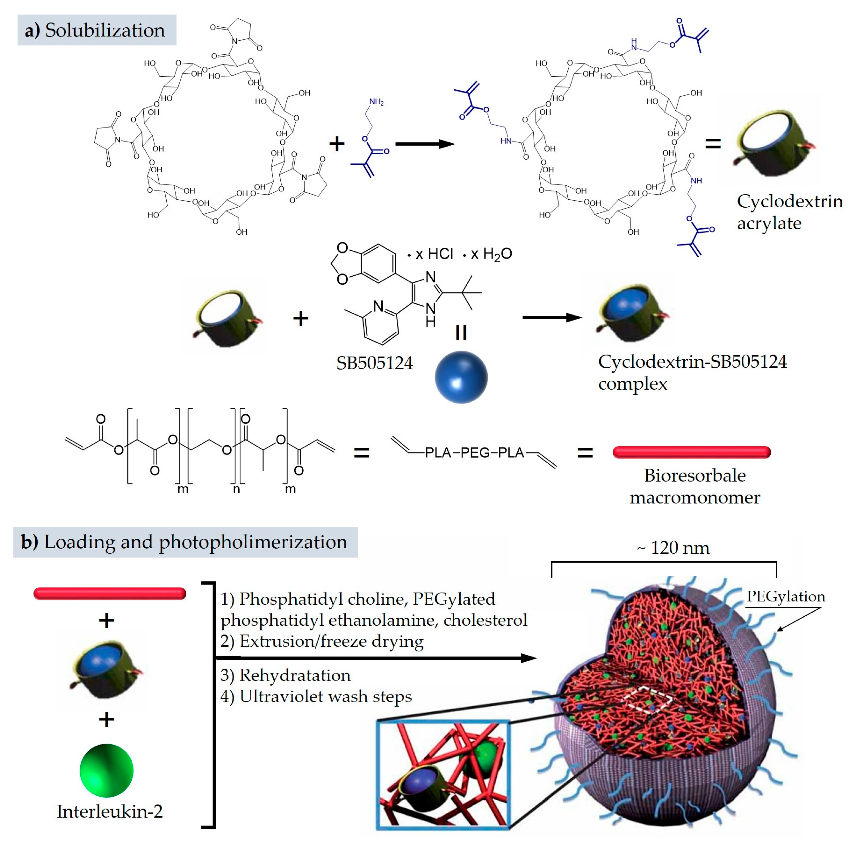 Pharmaceutics 11 00071 g008