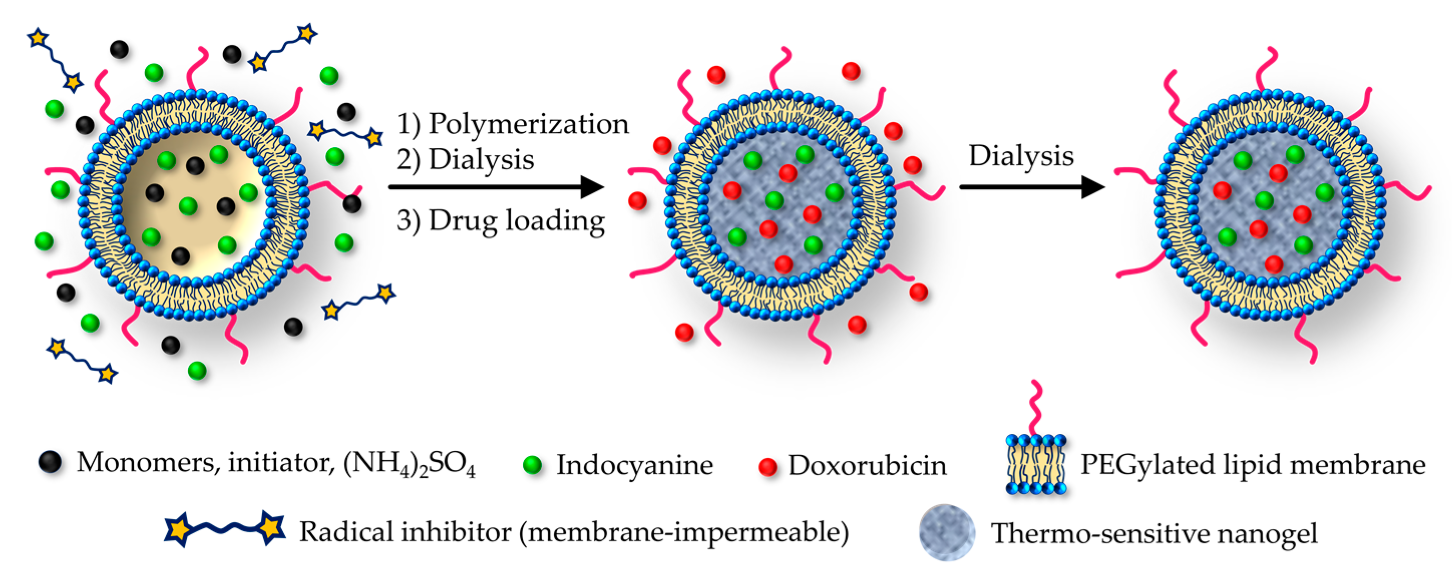 Pharmaceutics 11 00071 g011