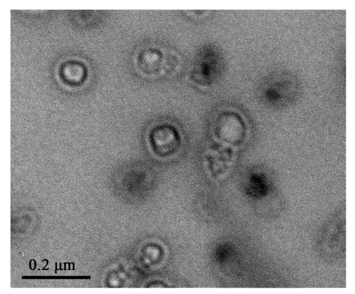 Pharmaceutics 11 00071 g012