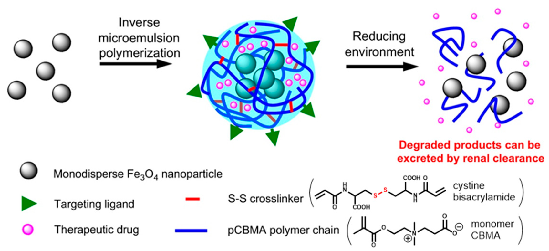 Pharmaceutics 11 00071 g013