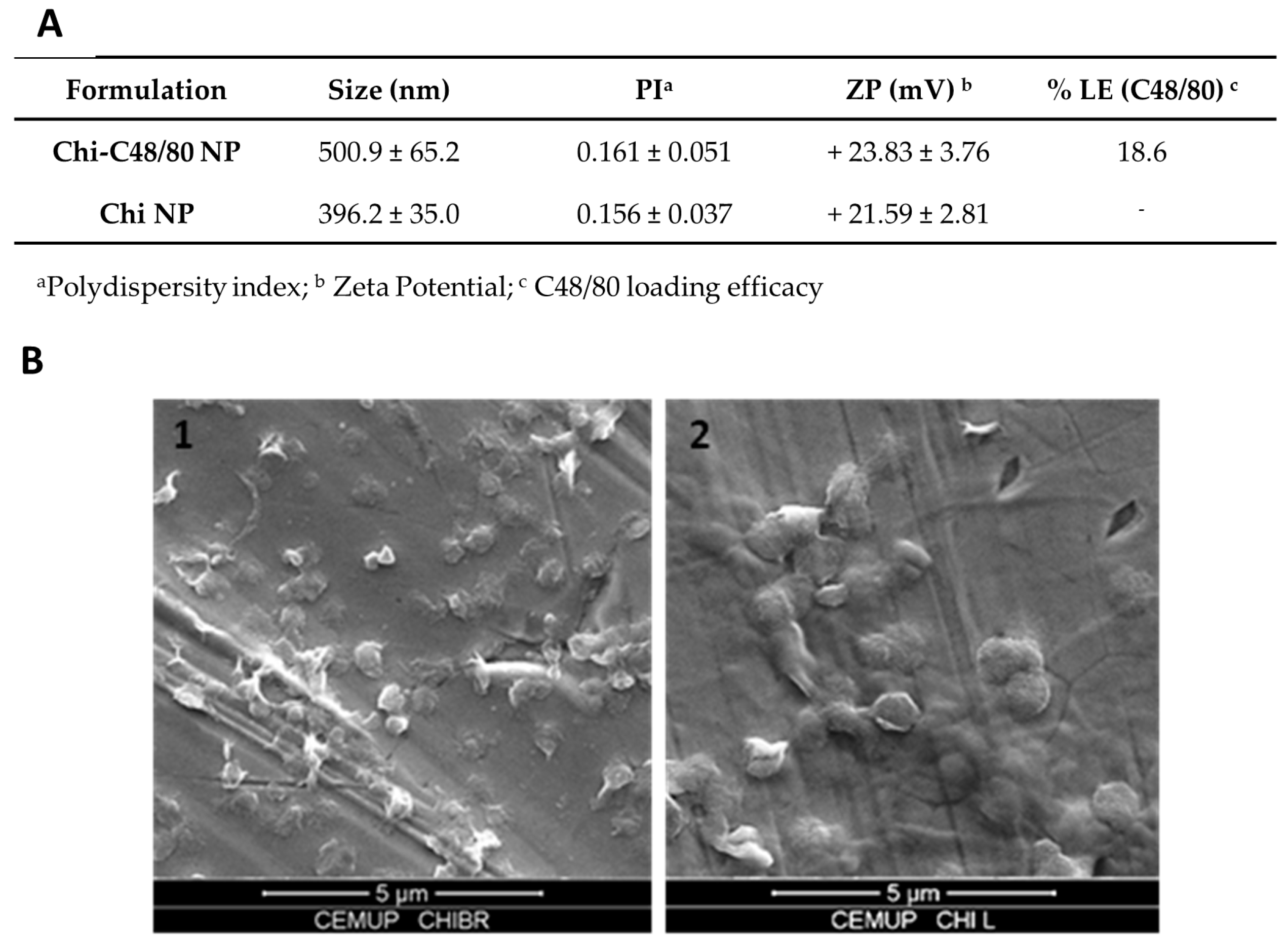 Pharmaceutics 11 00072 g002