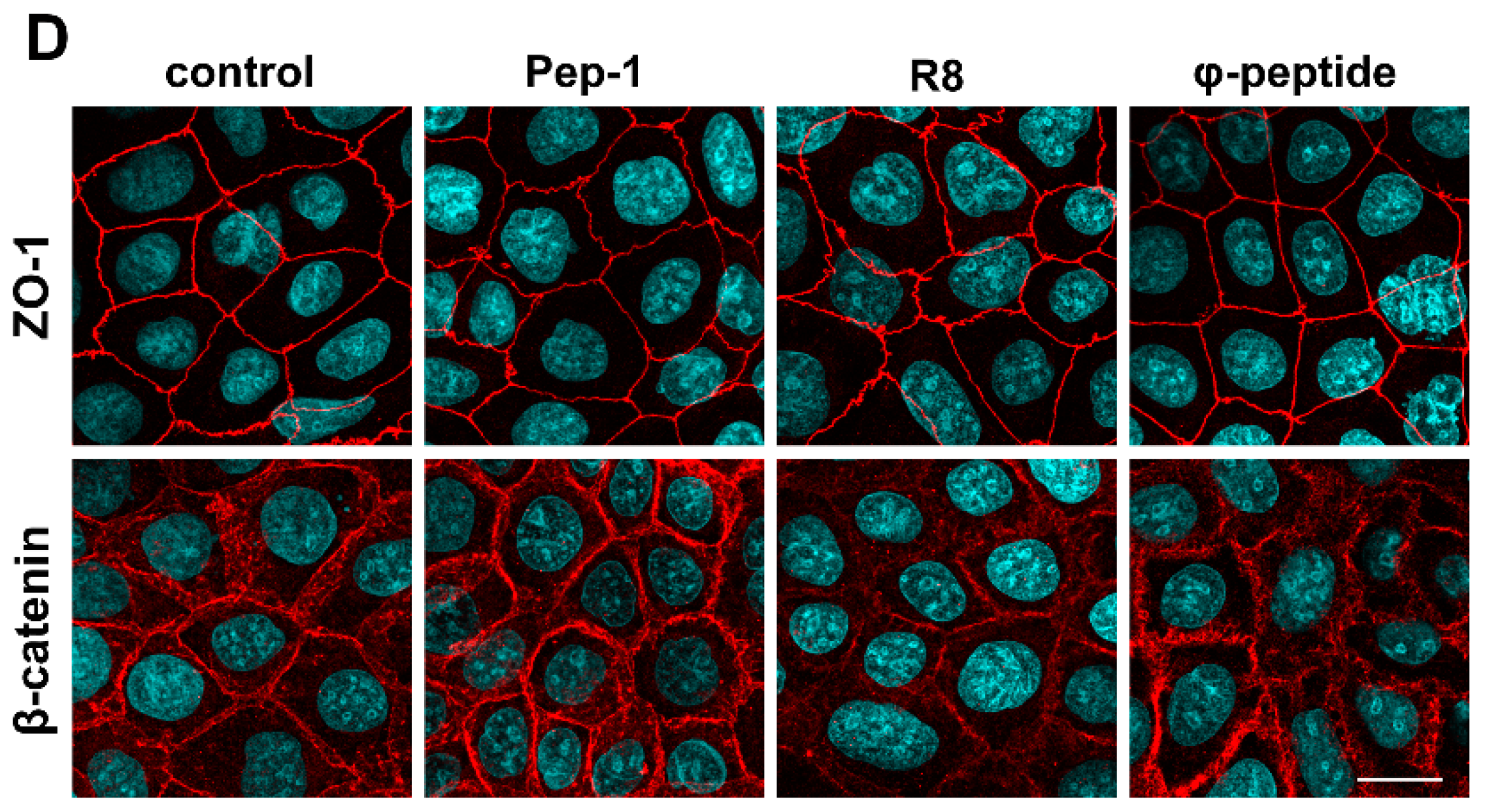 Pharmaceutics 11 00073 g009b
