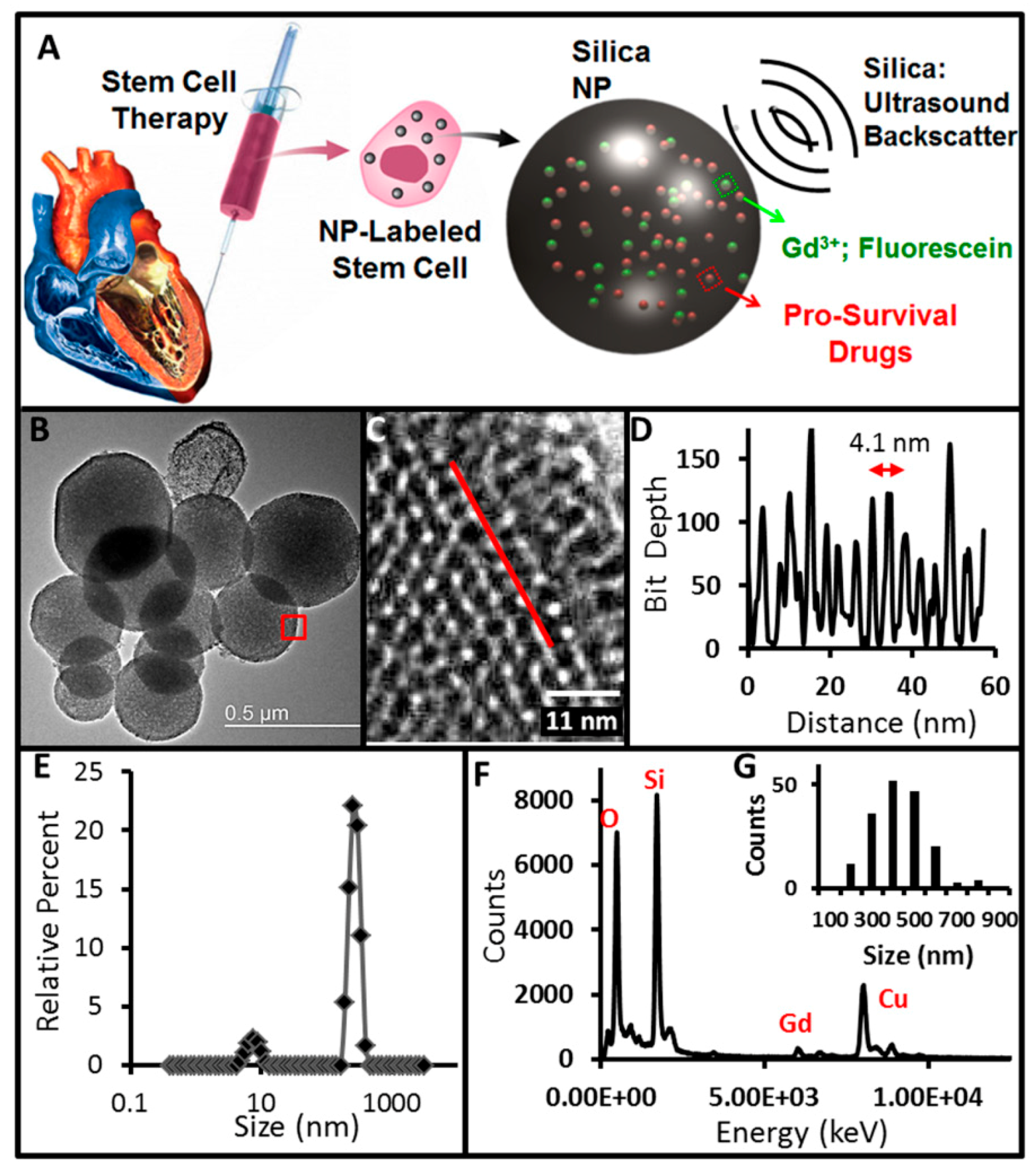 Pharmaceutics 11 00077 g005 Pharmaceutics 11 00077 g005