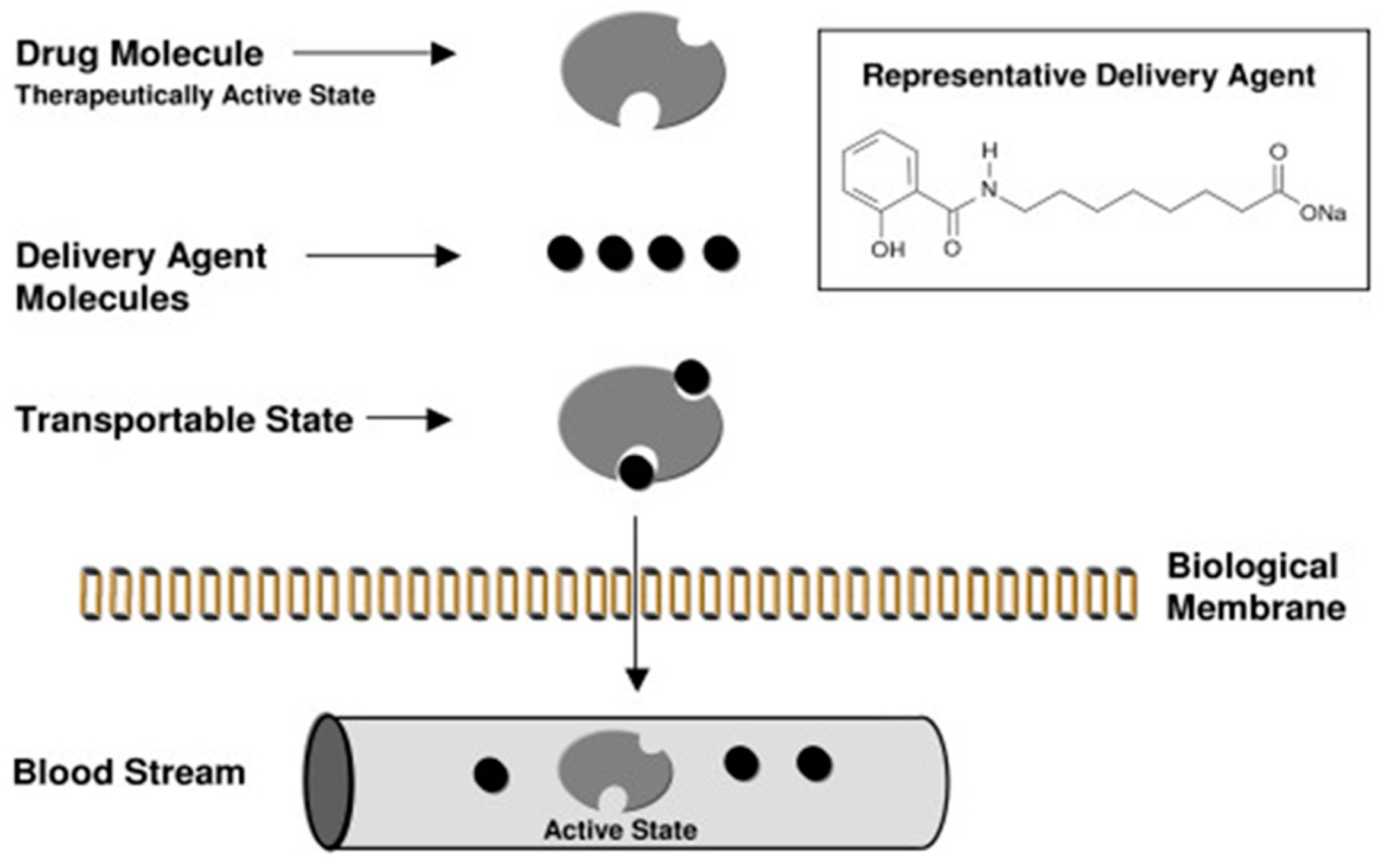 Pharmaceutics 11 00078 g003
