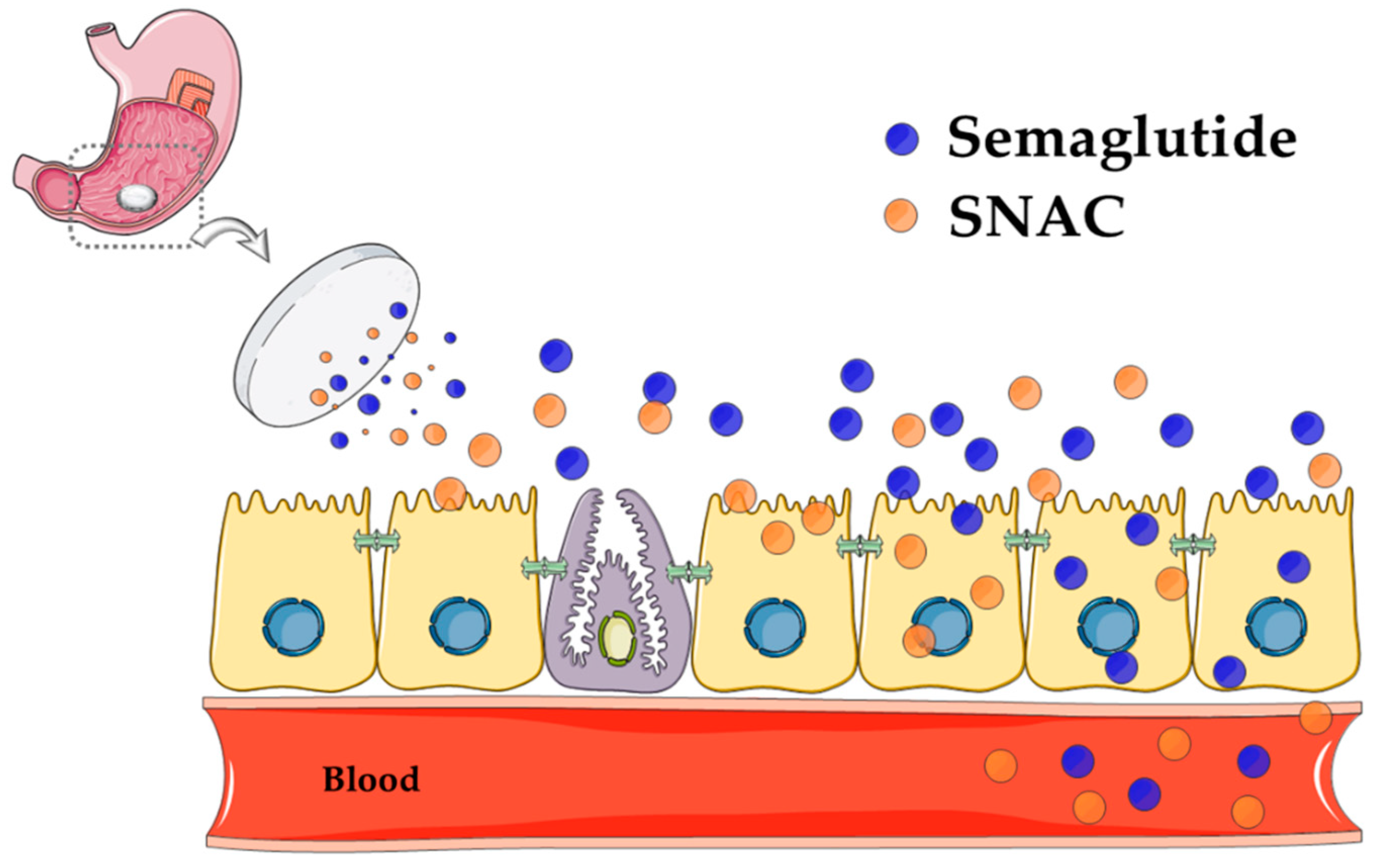 Pharmaceutics 11 00078 g004