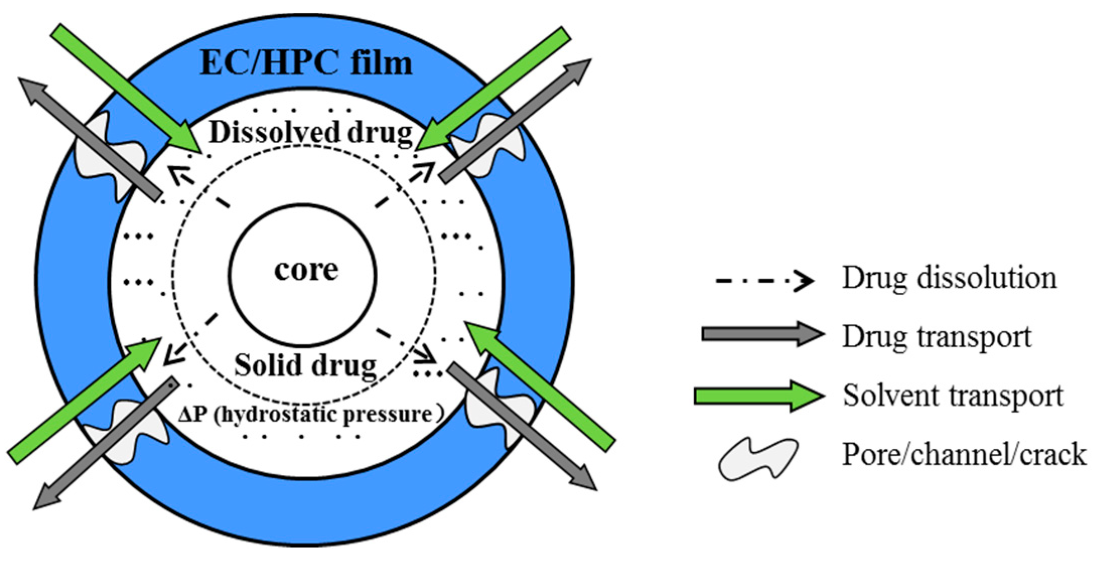 Pharmaceutics 11 00080 g001