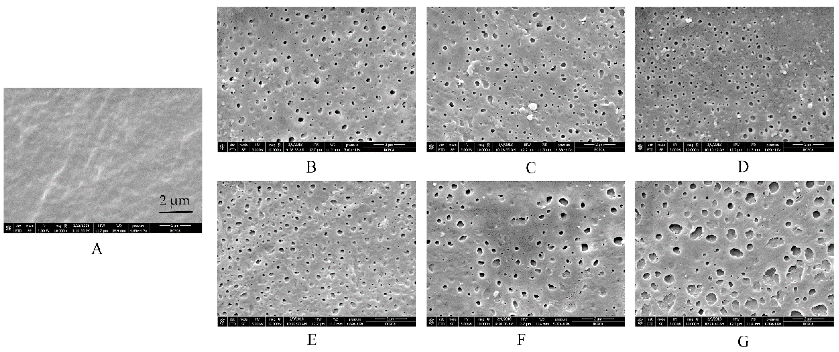 Pharmaceutics 11 00080 g004