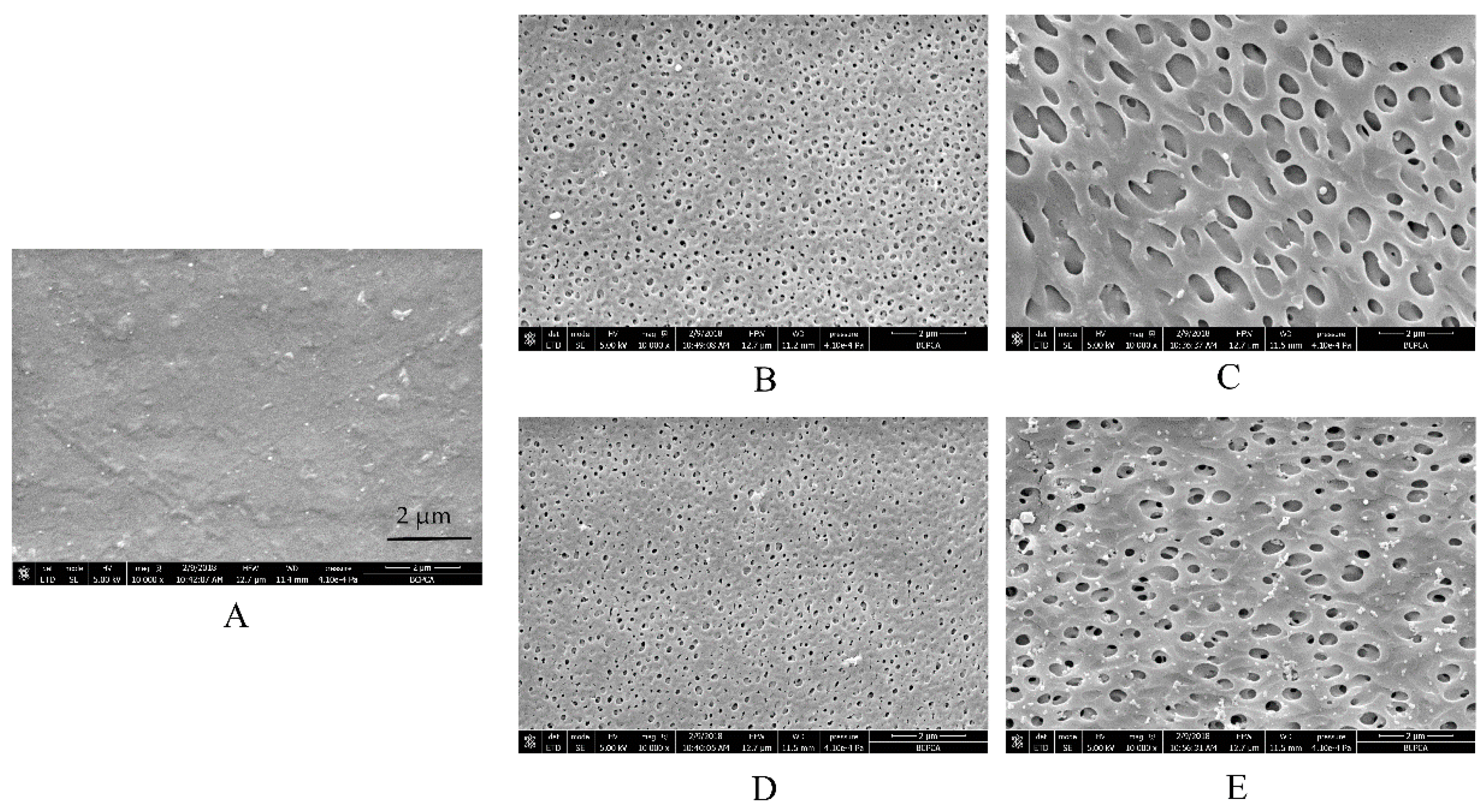 Pharmaceutics 11 00080 g005