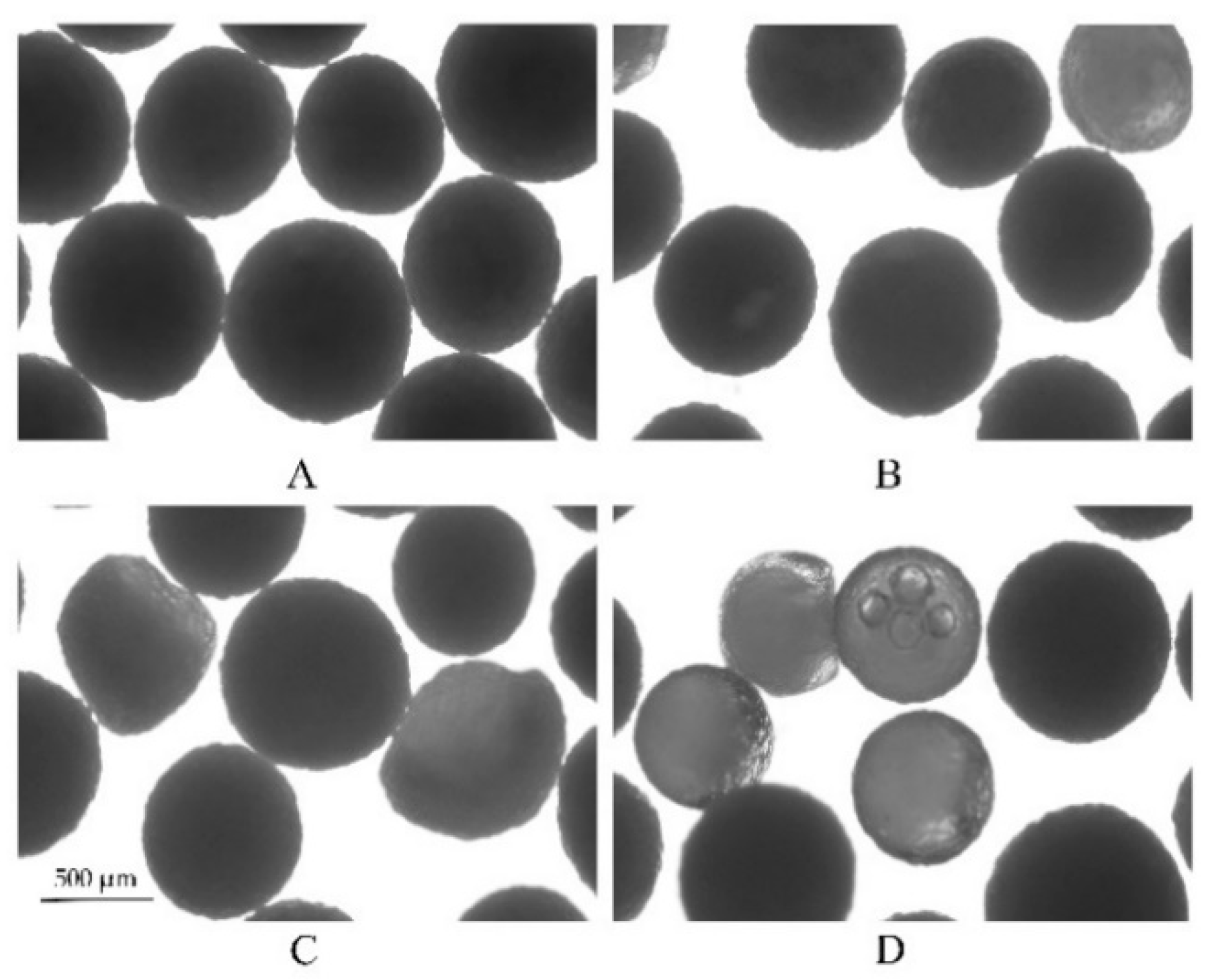 Pharmaceutics 11 00080 g010