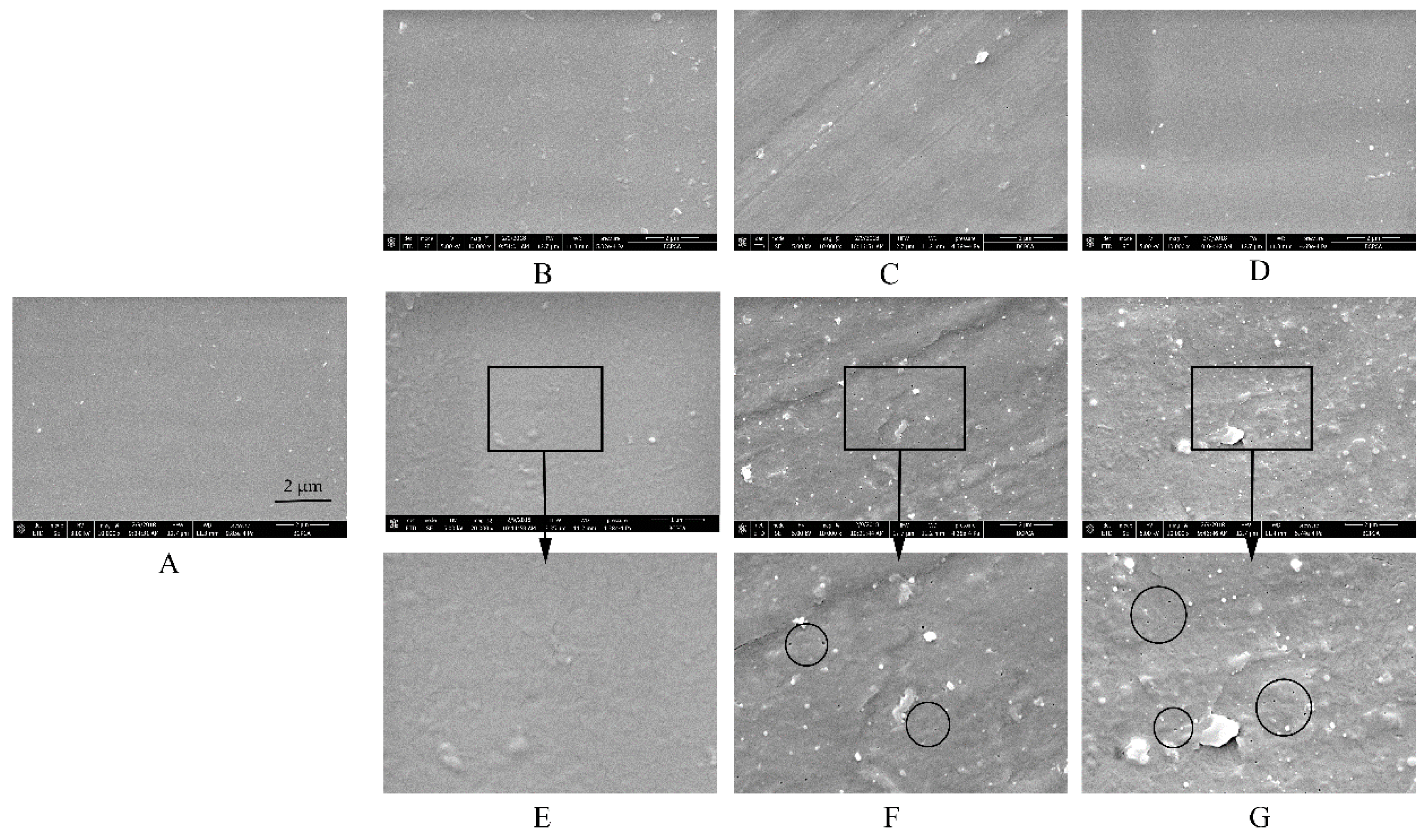 Pharmaceutics 11 00080 g011