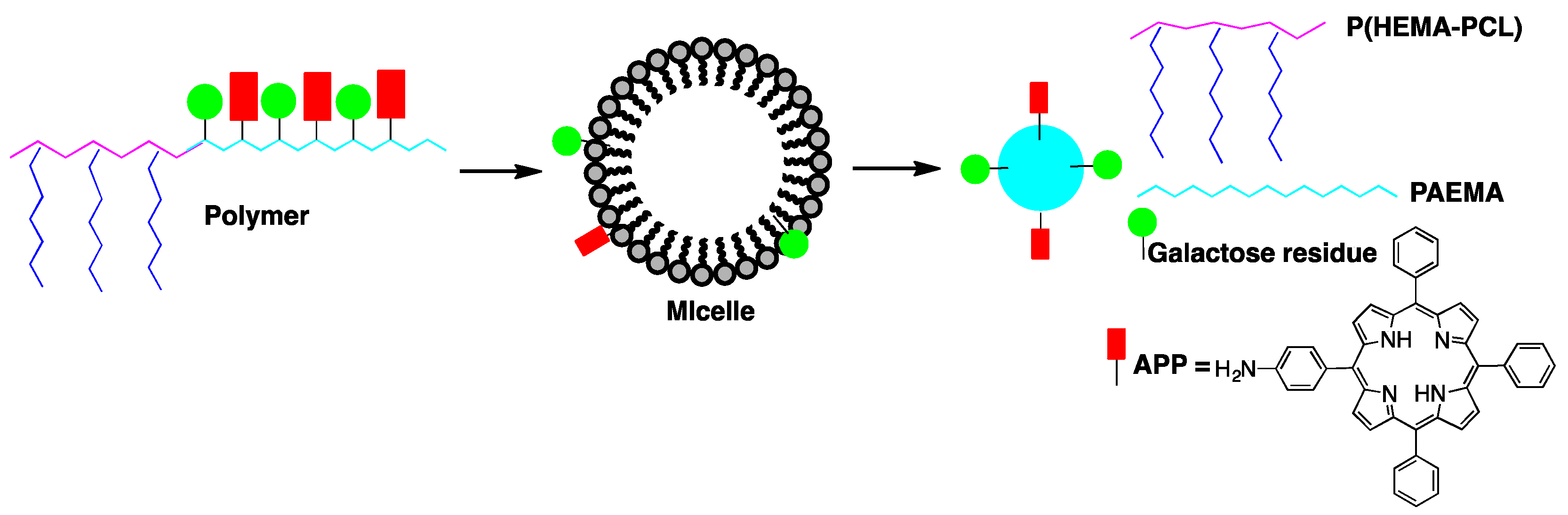 Pharmaceutics 11 00081 g001