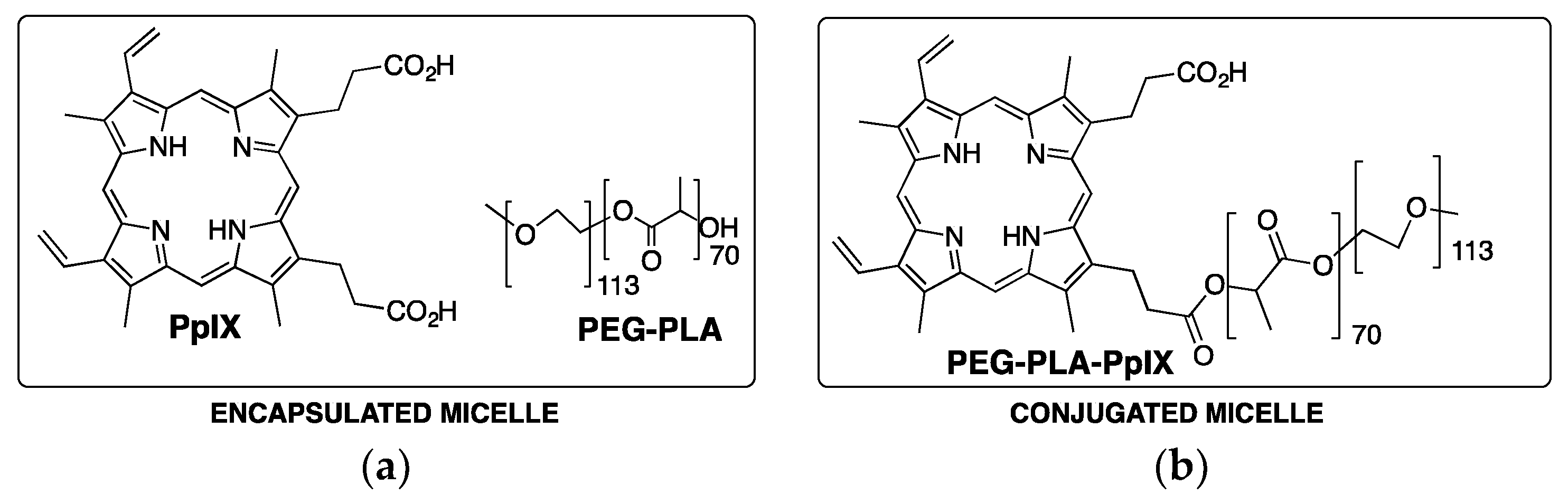 Pharmaceutics 11 00081 g004