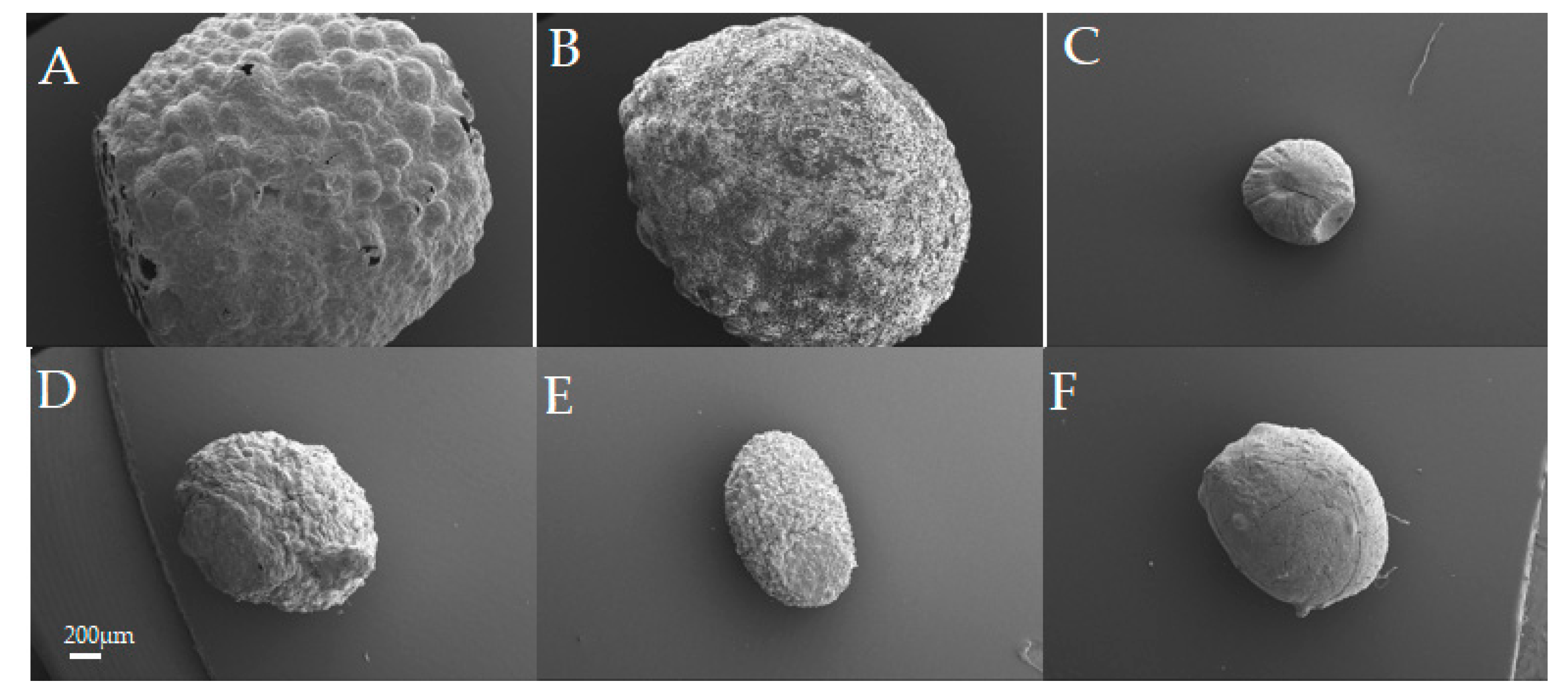 Pharmaceutics 11 00083 g003