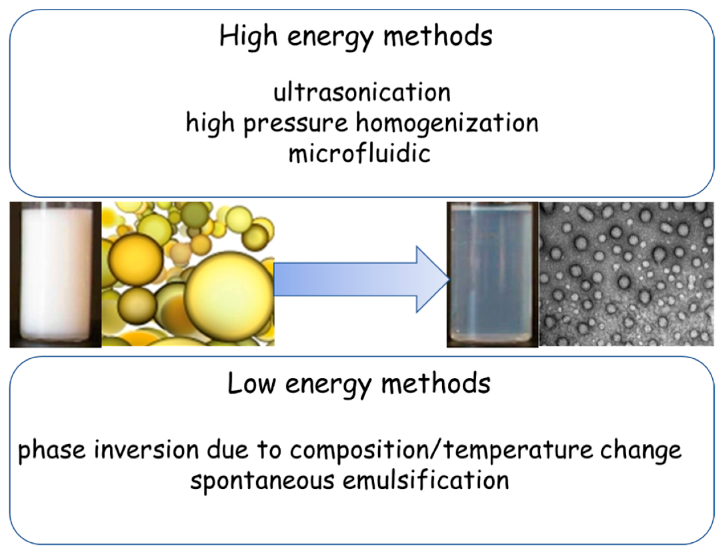 Pharmaceutics 11 00084 g002