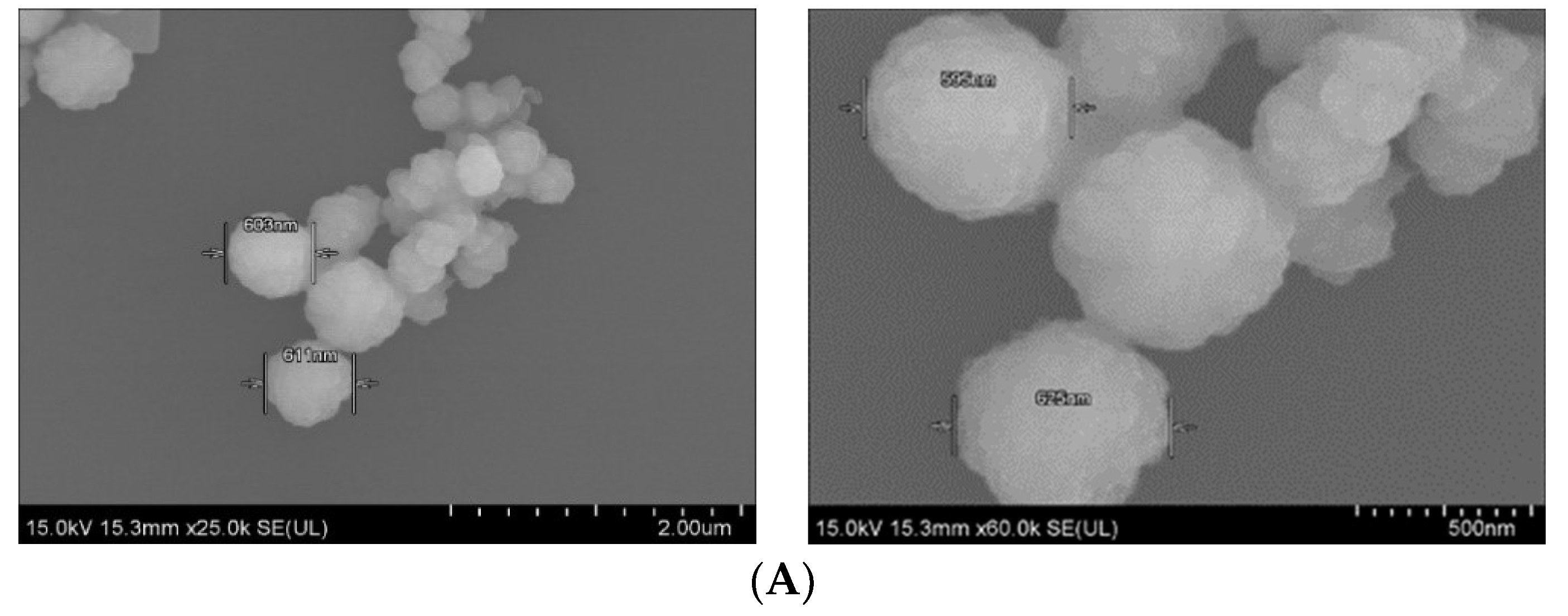 Pharmaceutics 11 00089 g005a