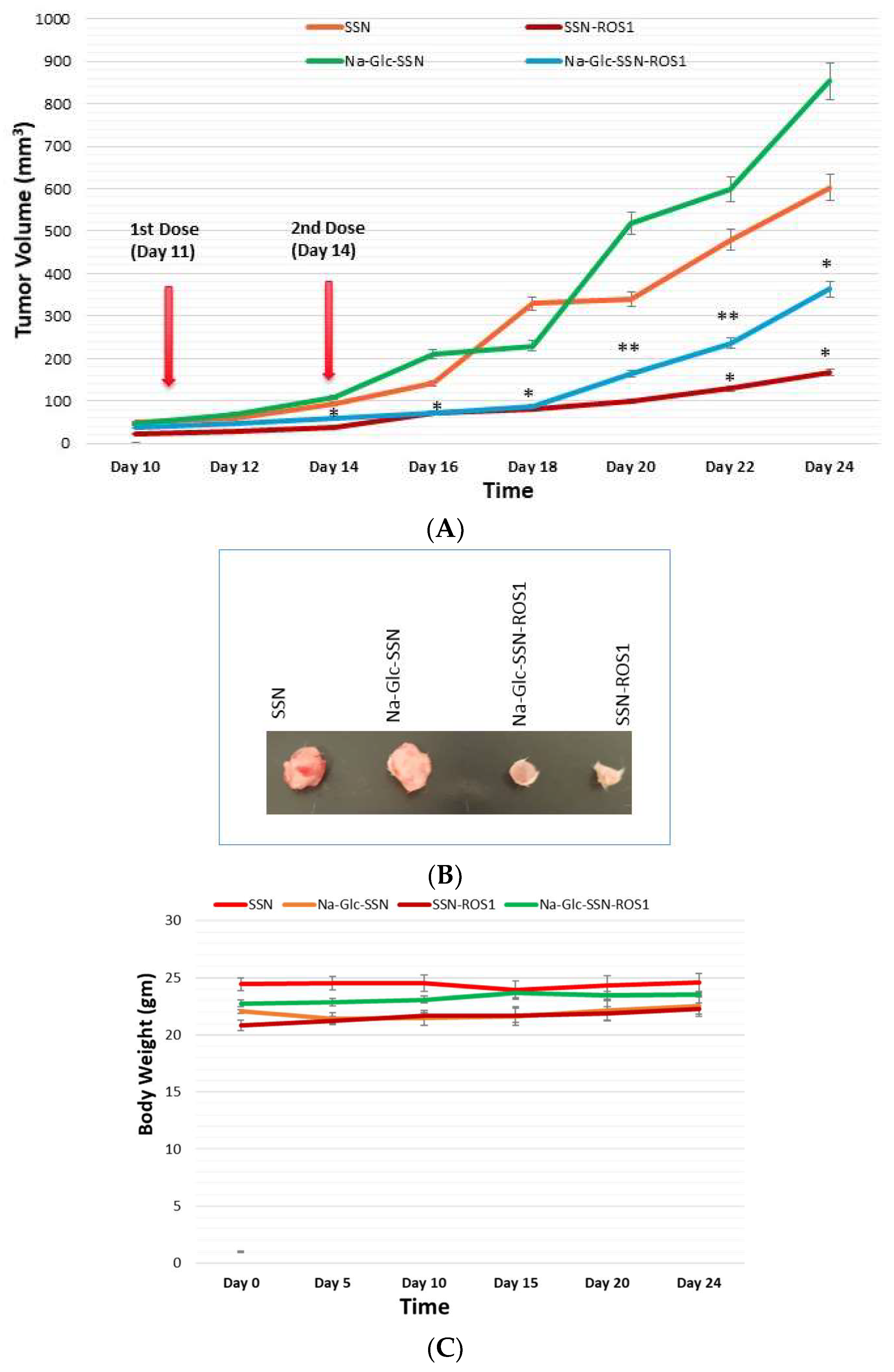 Pharmaceutics 11 00089 g017