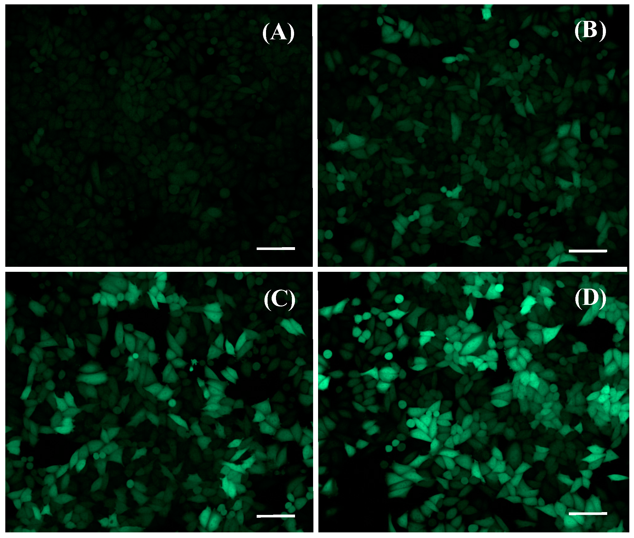 Pharmaceutics 11 00090 g002