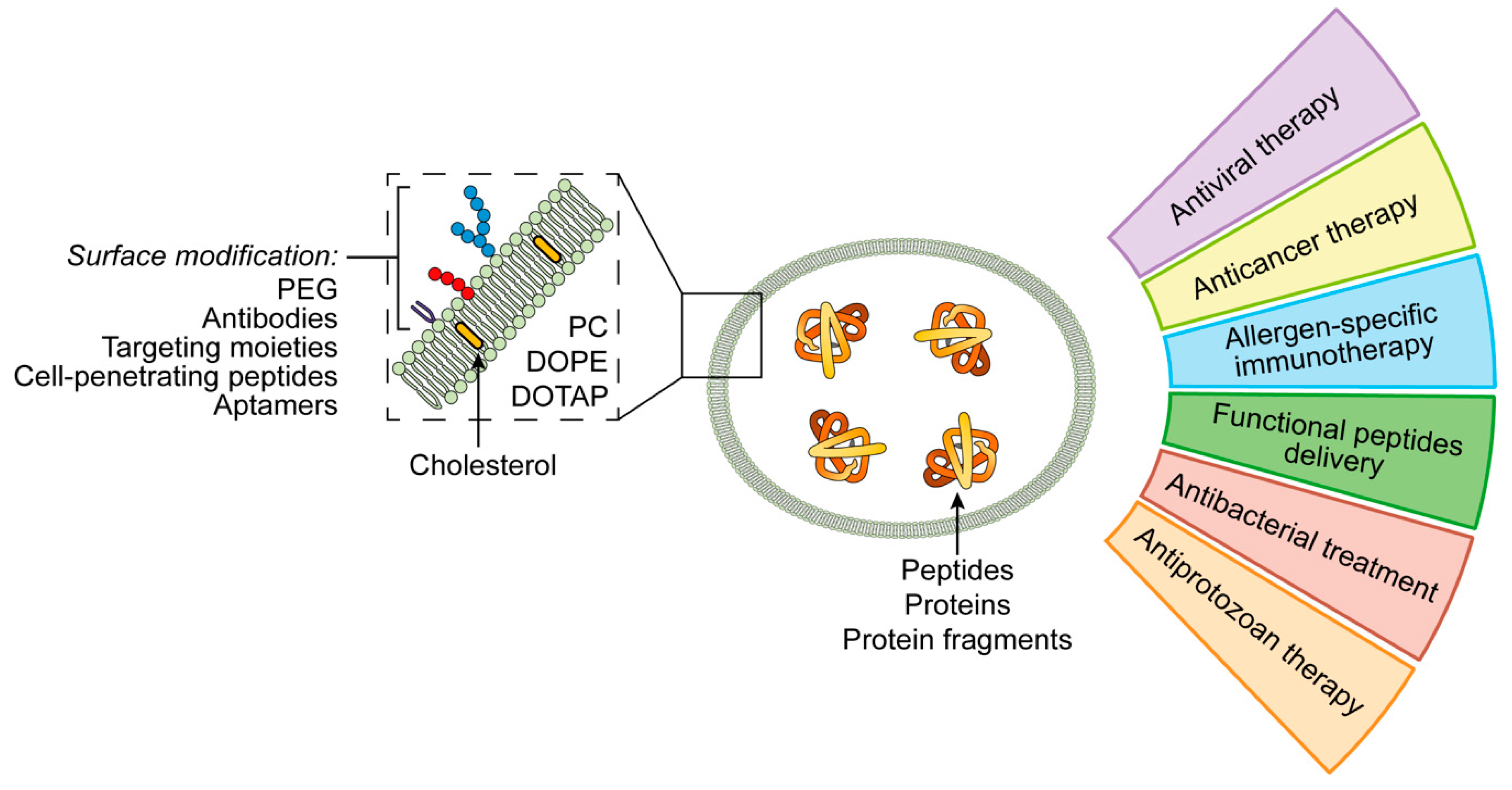 Pharmaceutics 11 00091 g002