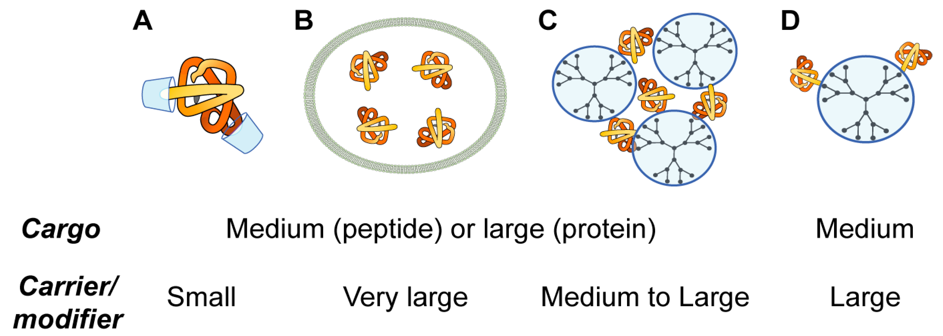 Pharmaceutics 11 00091 g004