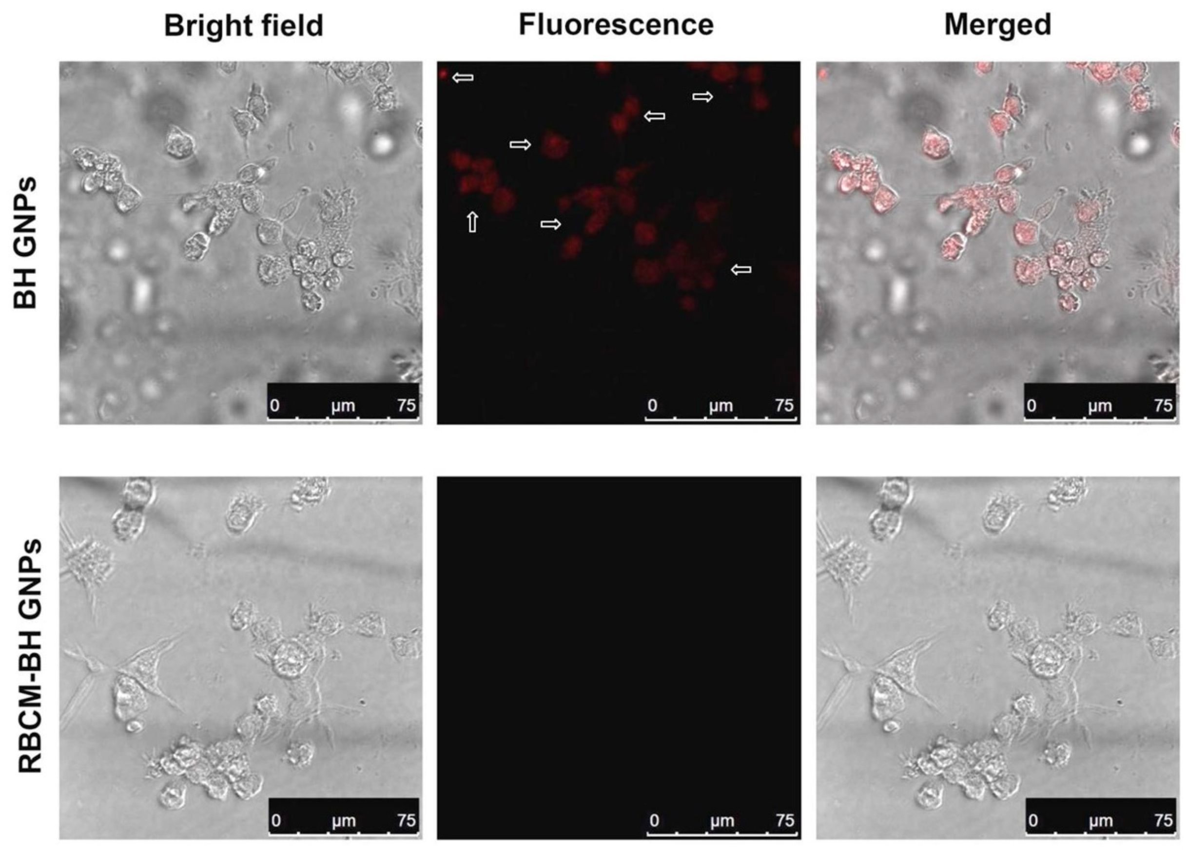 Pharmaceutics 11 00093 g006