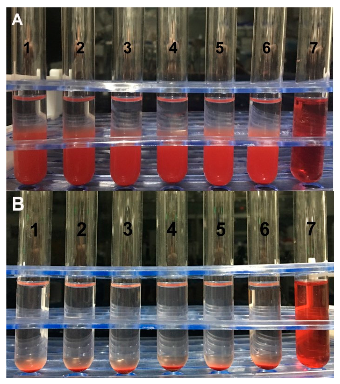 Pharmaceutics 11 00093 g008