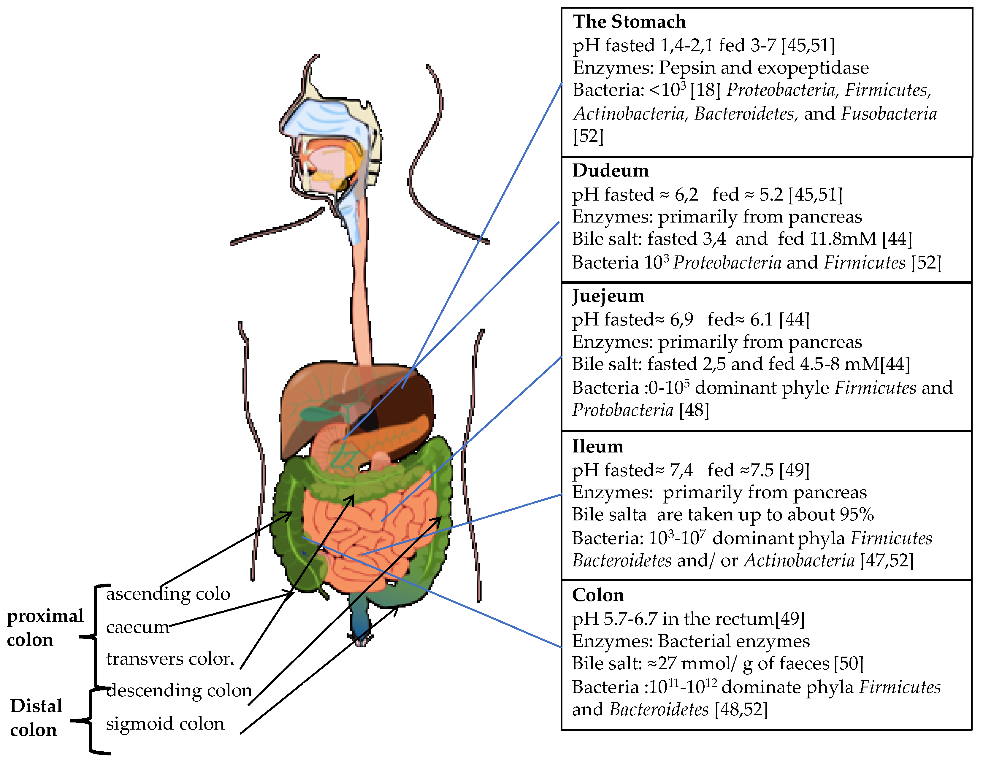 Pharmaceutics 11 00095 g001