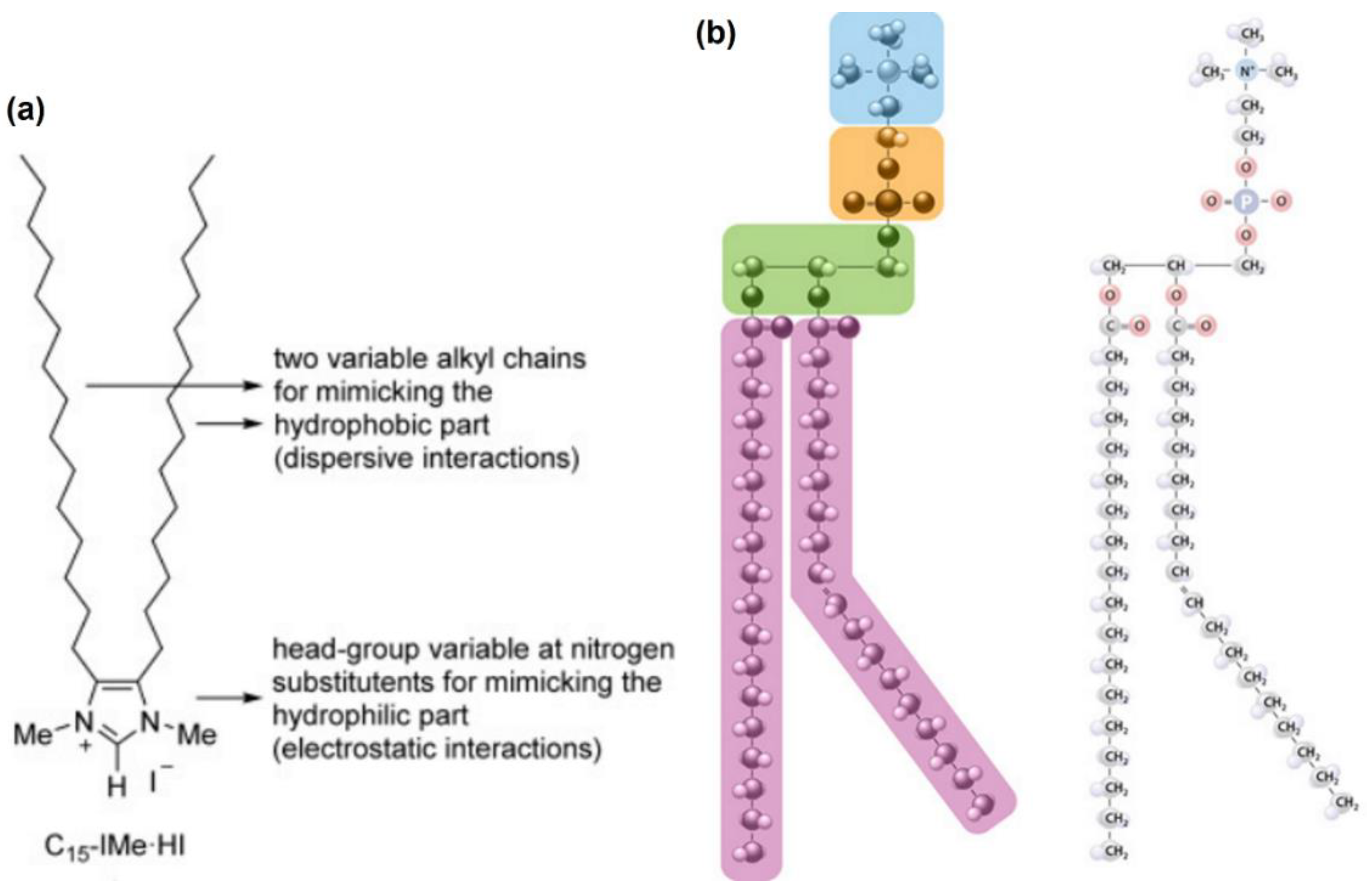 Pharmaceutics 11 00096 g002